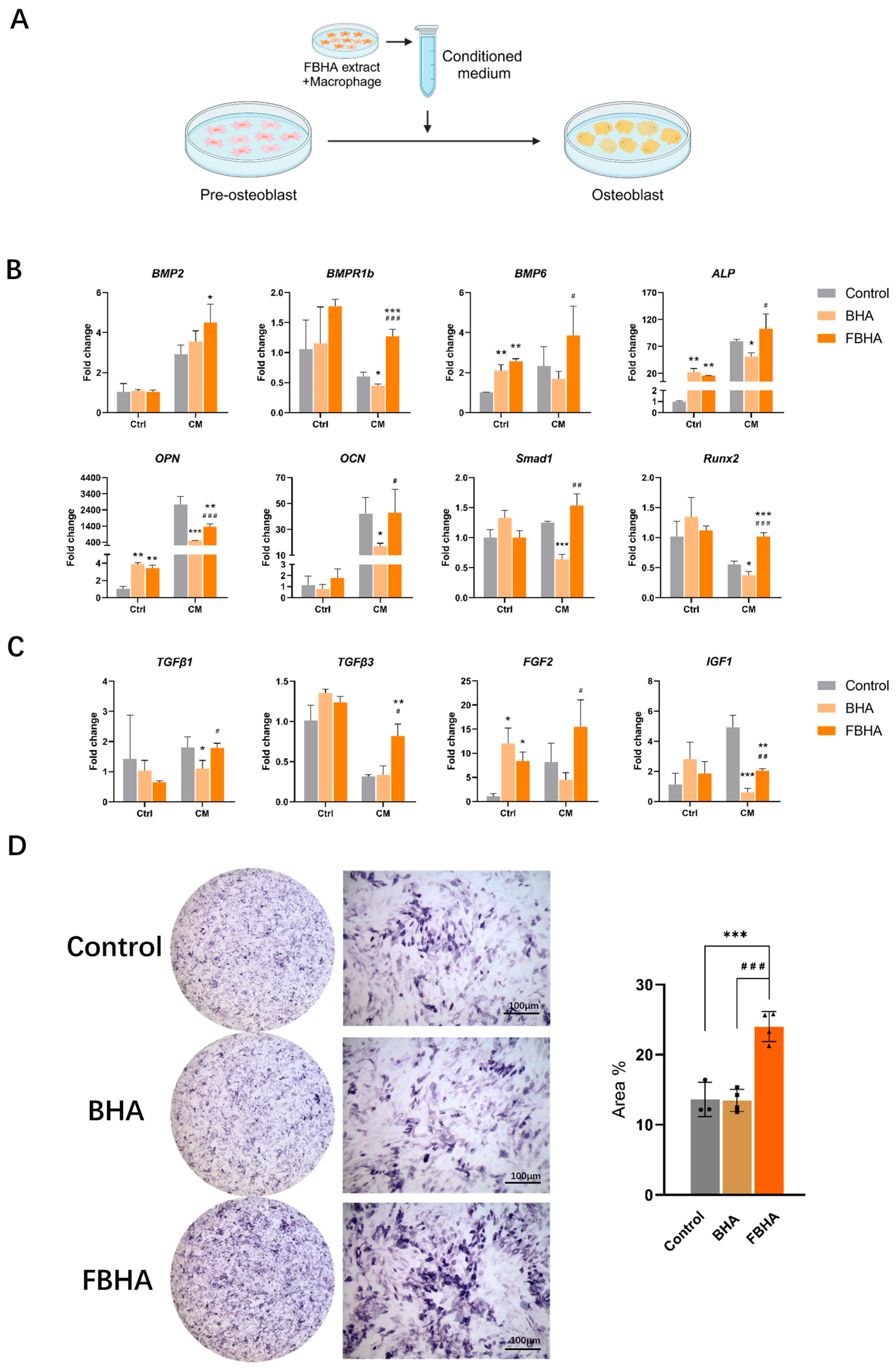 Bioengineering 12 00396 g004