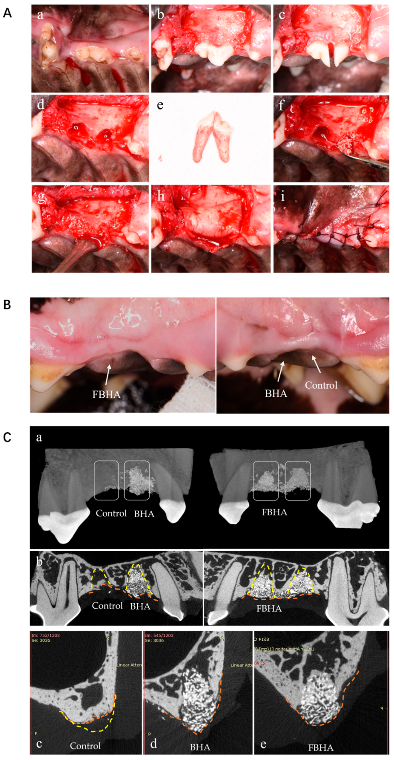 Bioengineering 12 00396 g005
