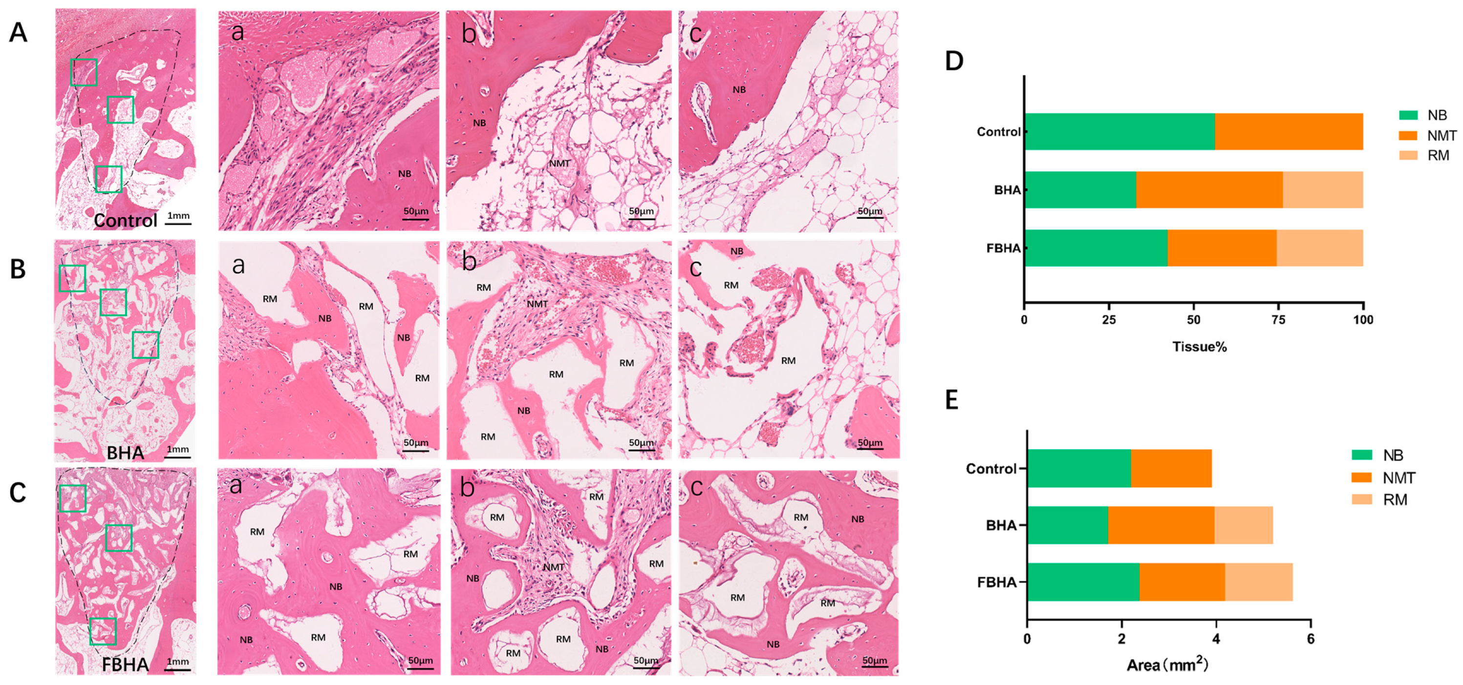 Bioengineering 12 00396 g007