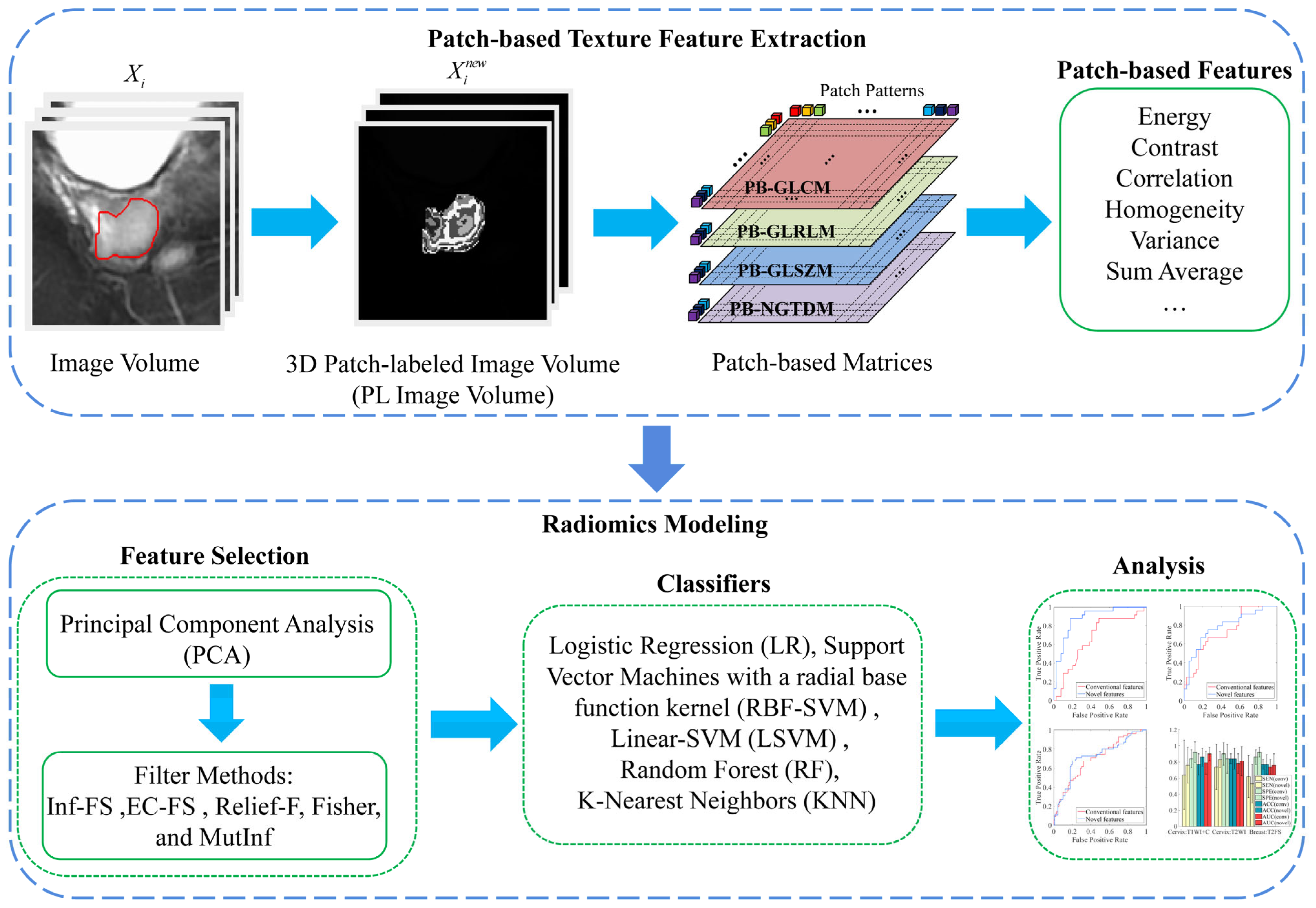 Bioengineering 12 00404 g001
