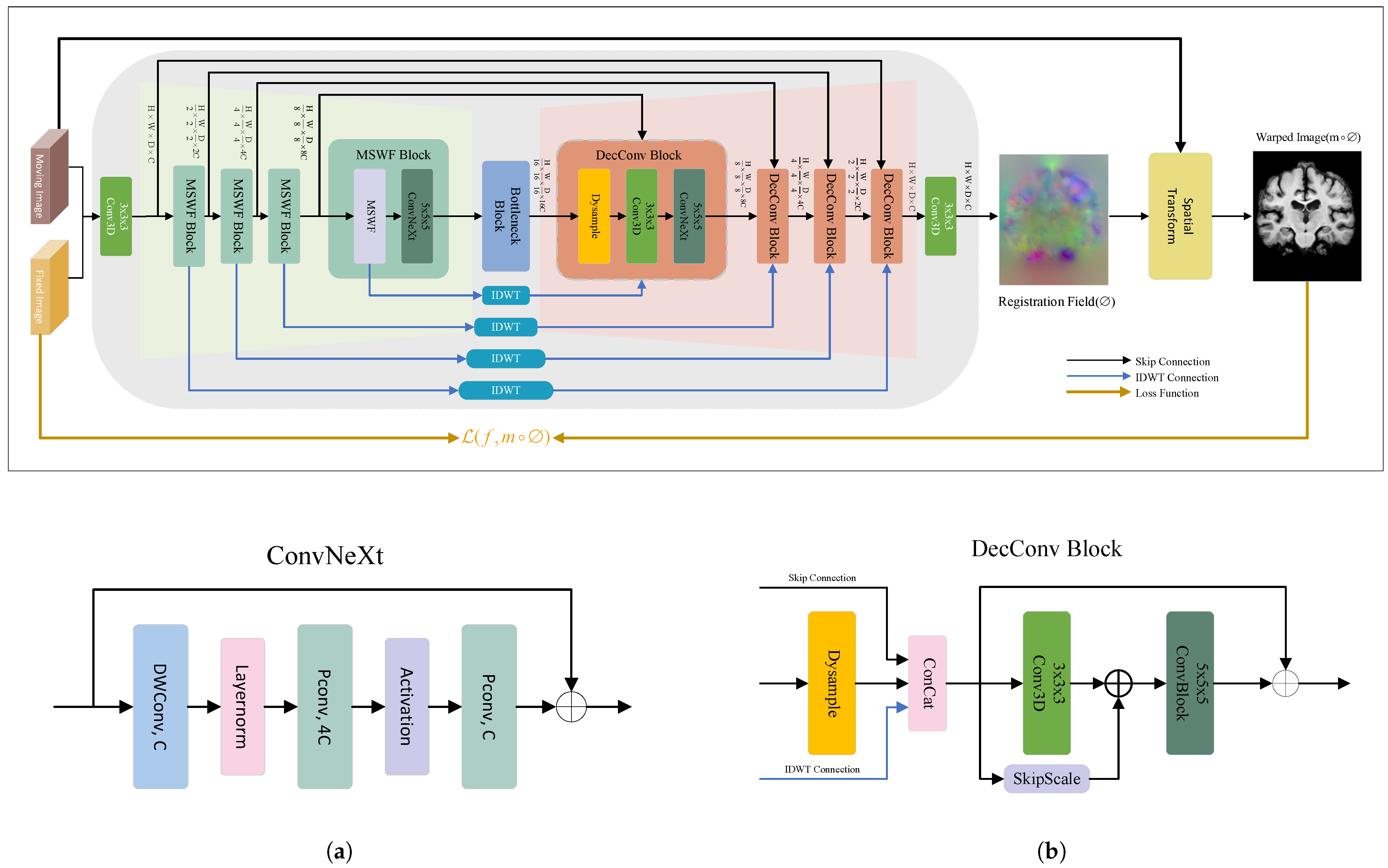 Bioengineering 12 00406 g001