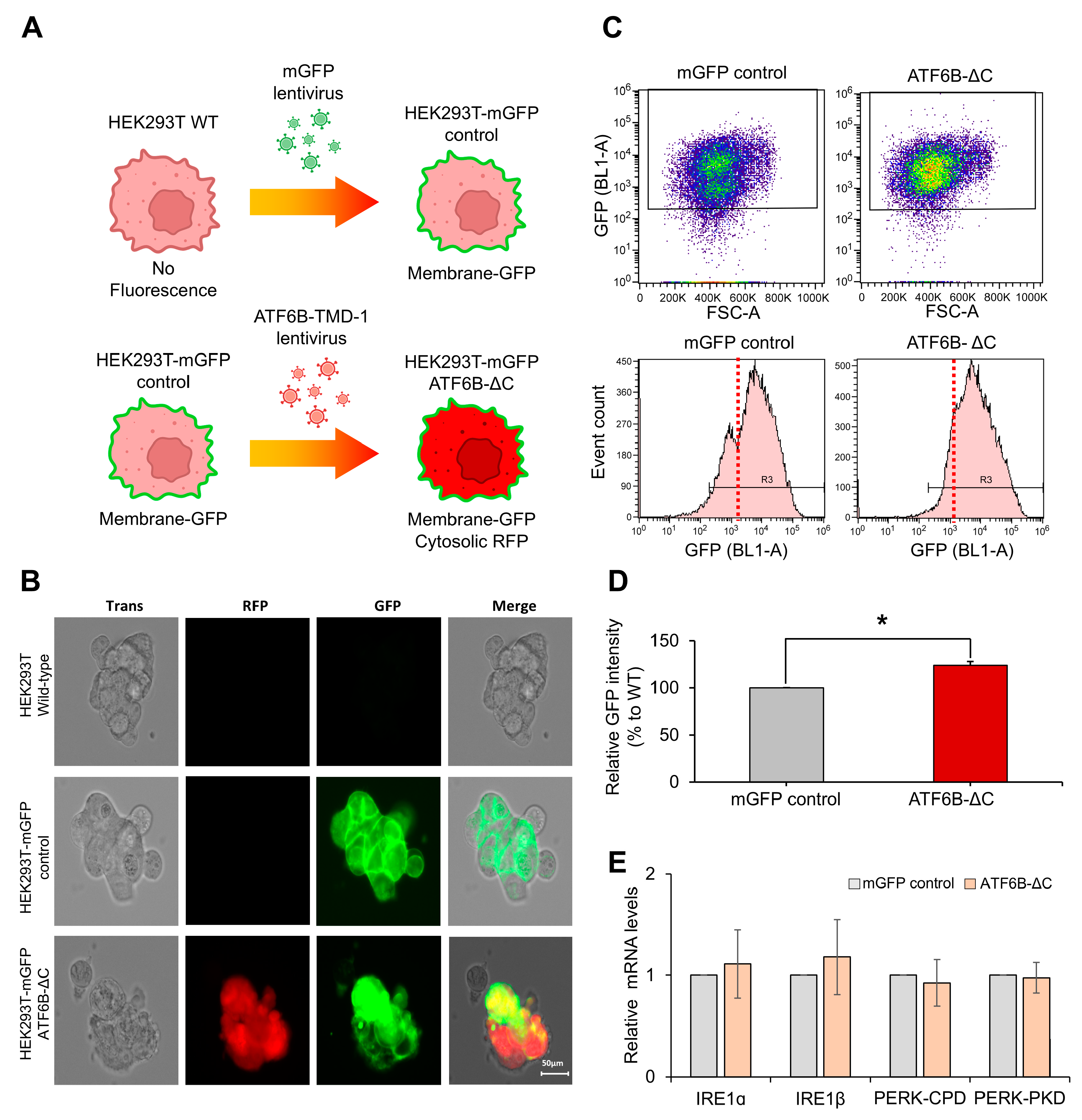 Bioengineering 12 00409 g006