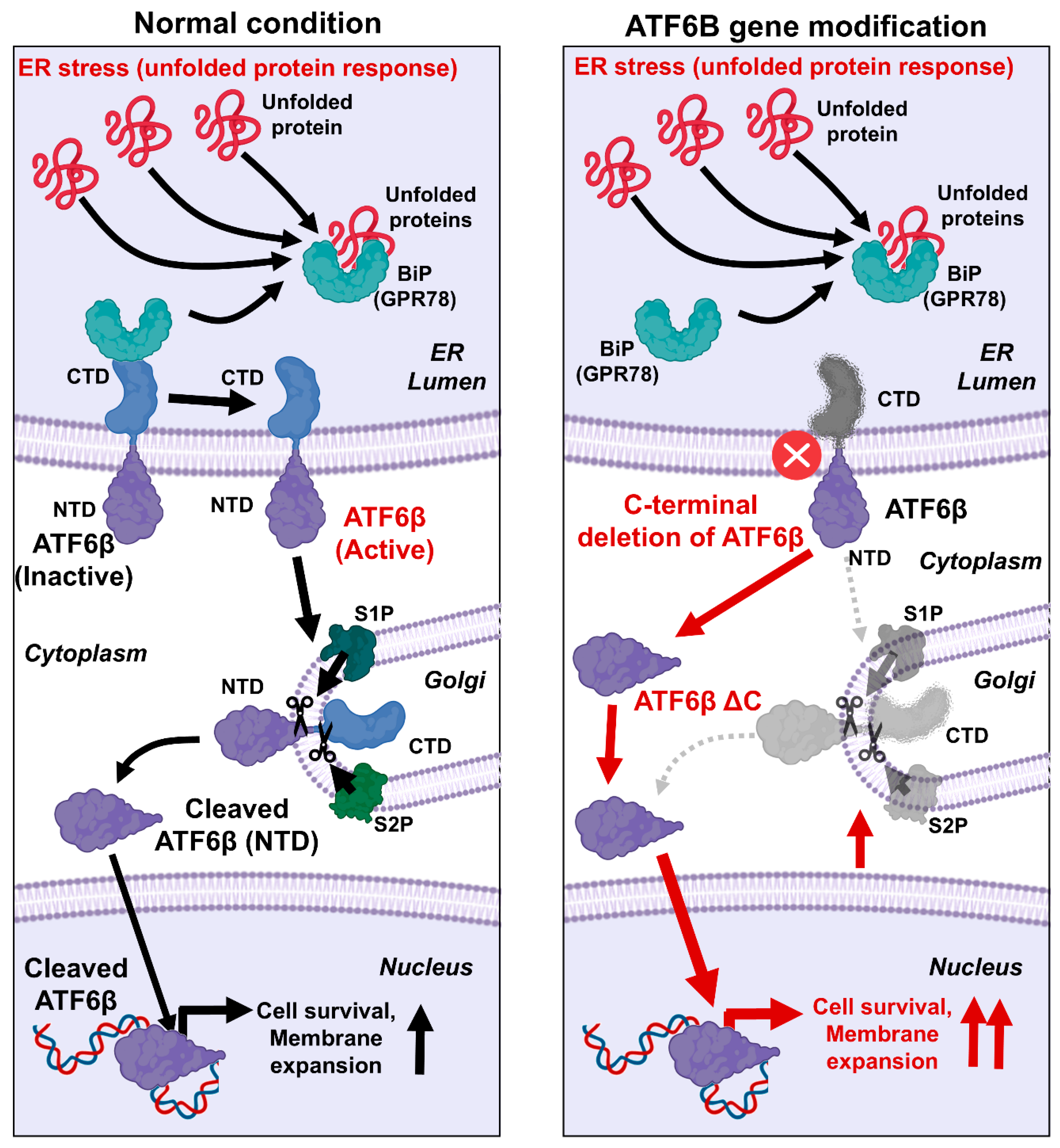 Bioengineering 12 00409 g007