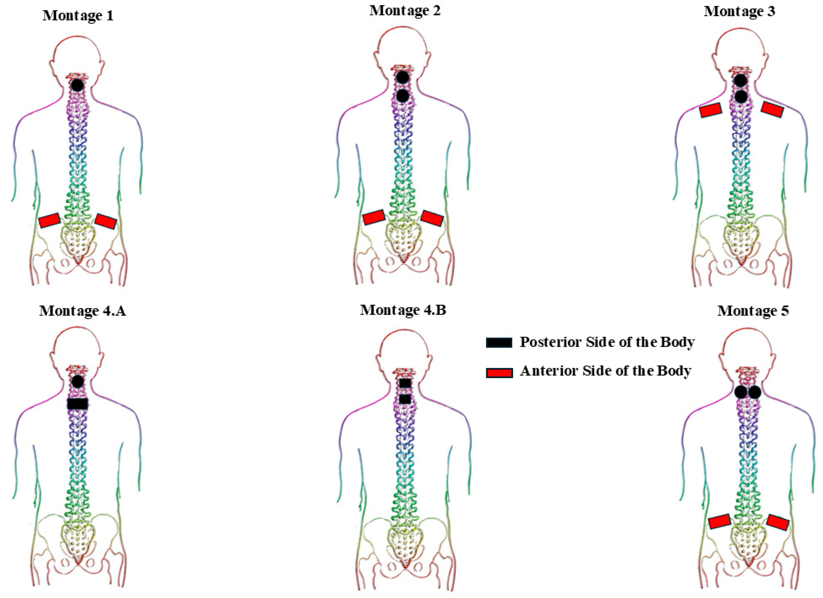 Bioengineering 12 00410 g001