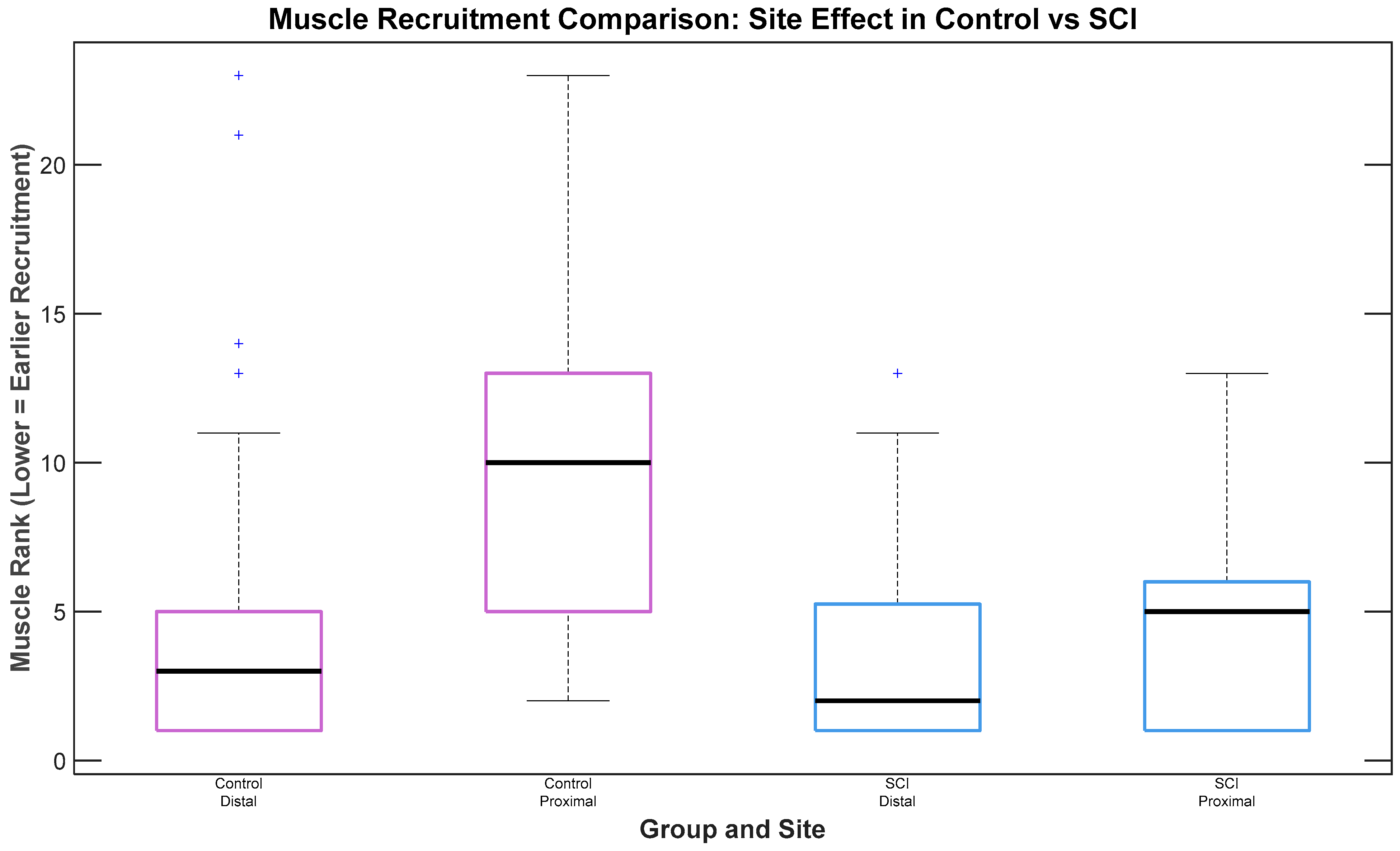 Bioengineering 12 00410 g004