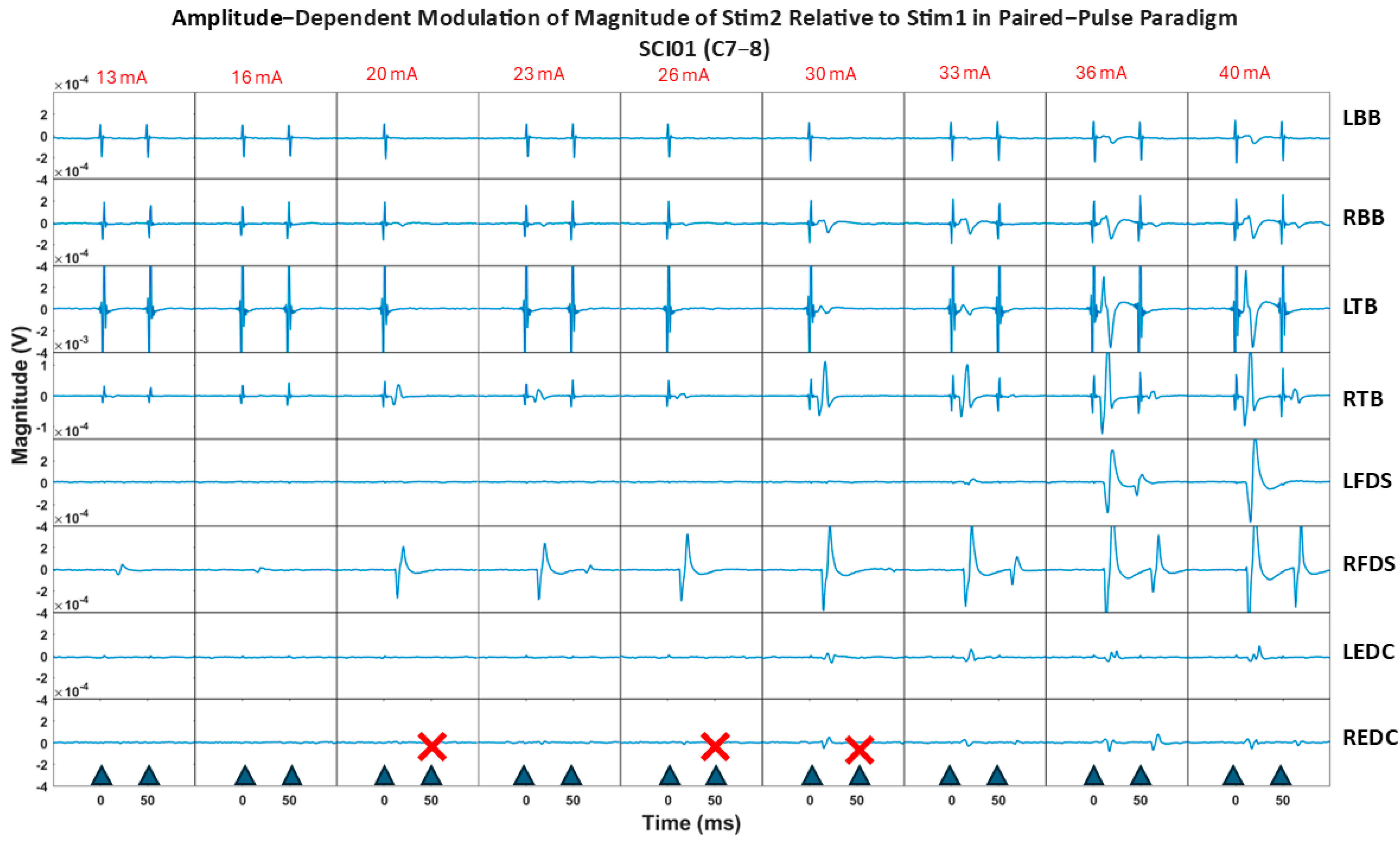 Bioengineering 12 00410 g008