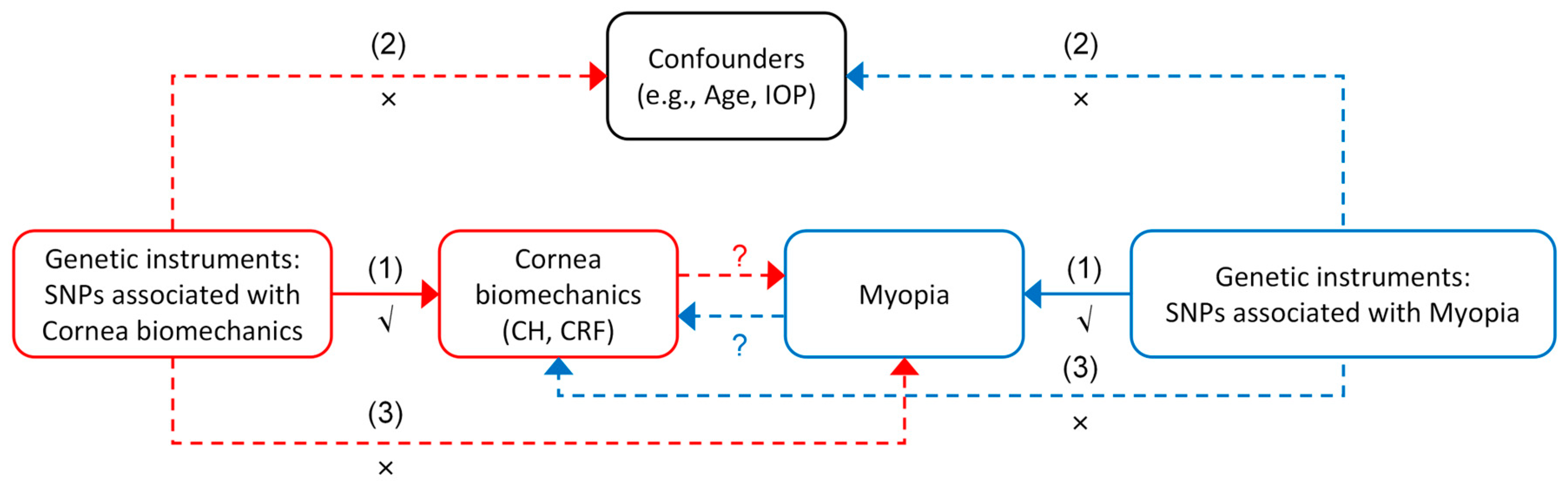 Bioengineering 12 00412 g001