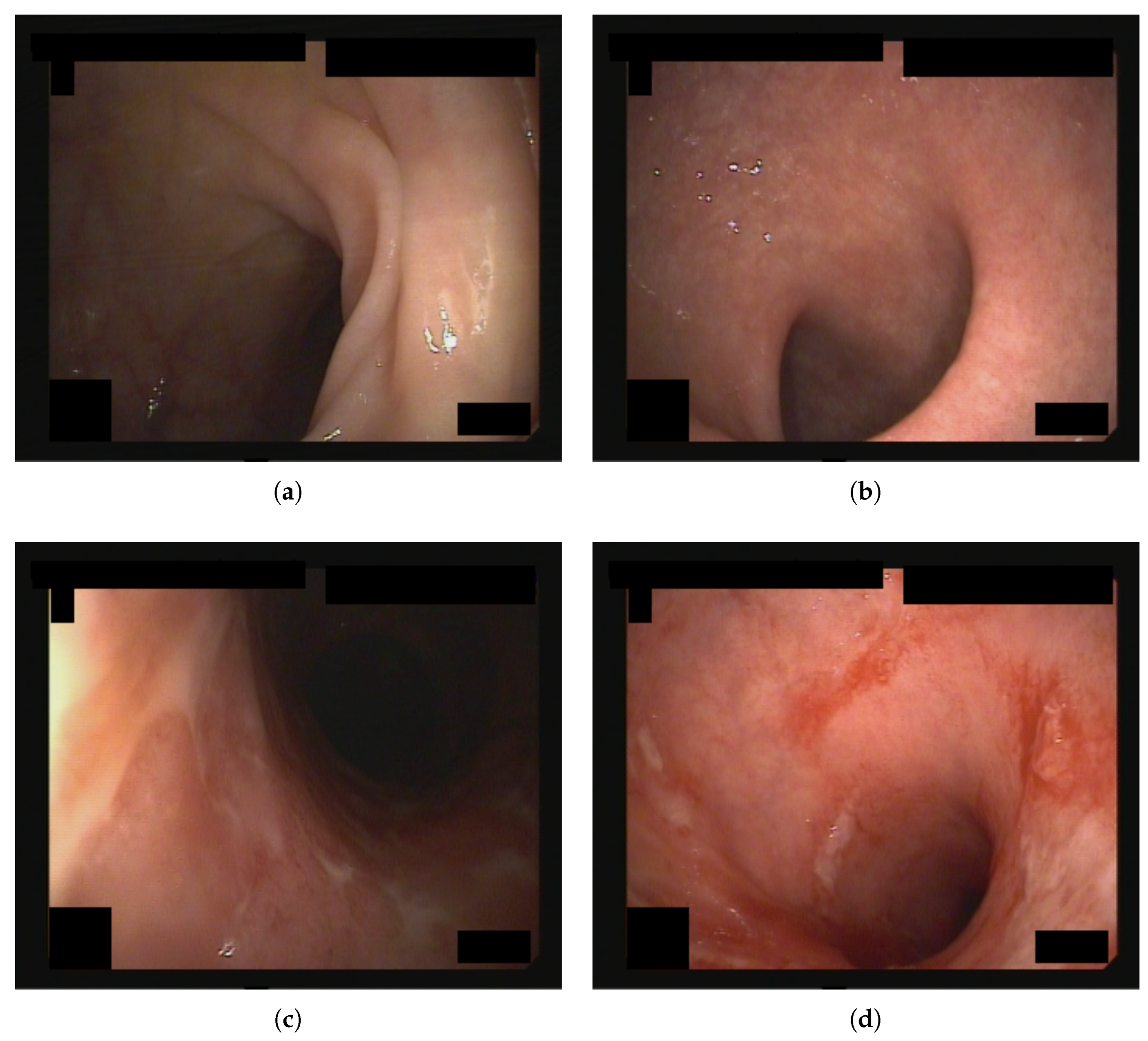 Bioengineering 12 00413 g001