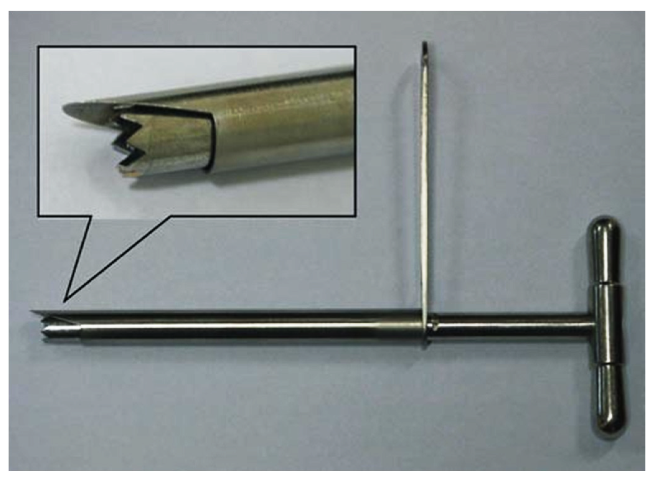 Bioengineering 12 00414 g001