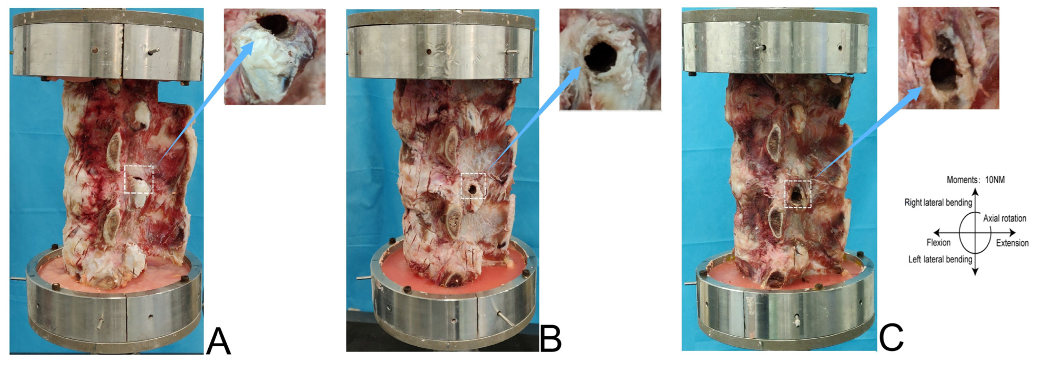 Bioengineering 12 00414 g002