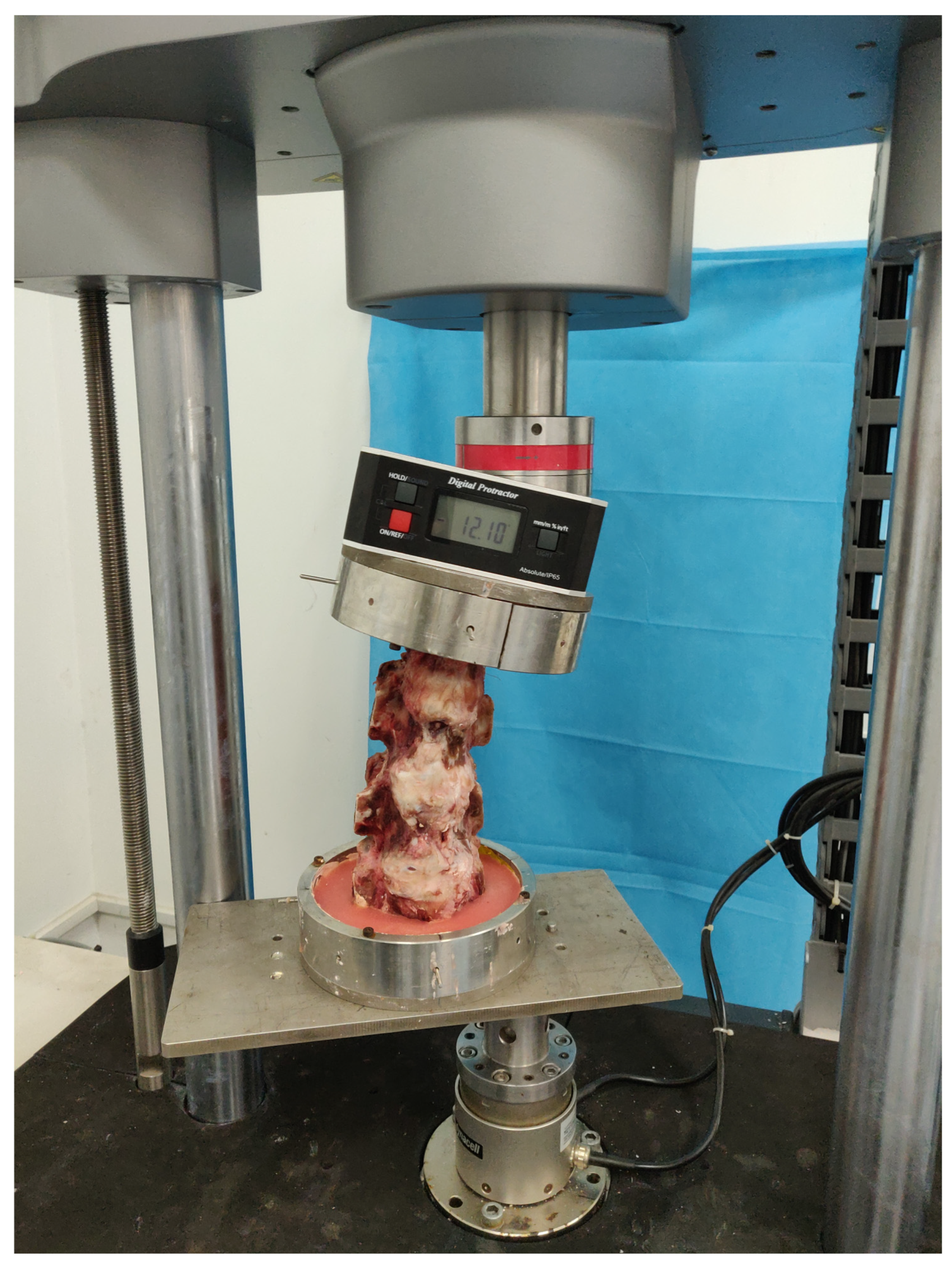 Bioengineering 12 00414 g003