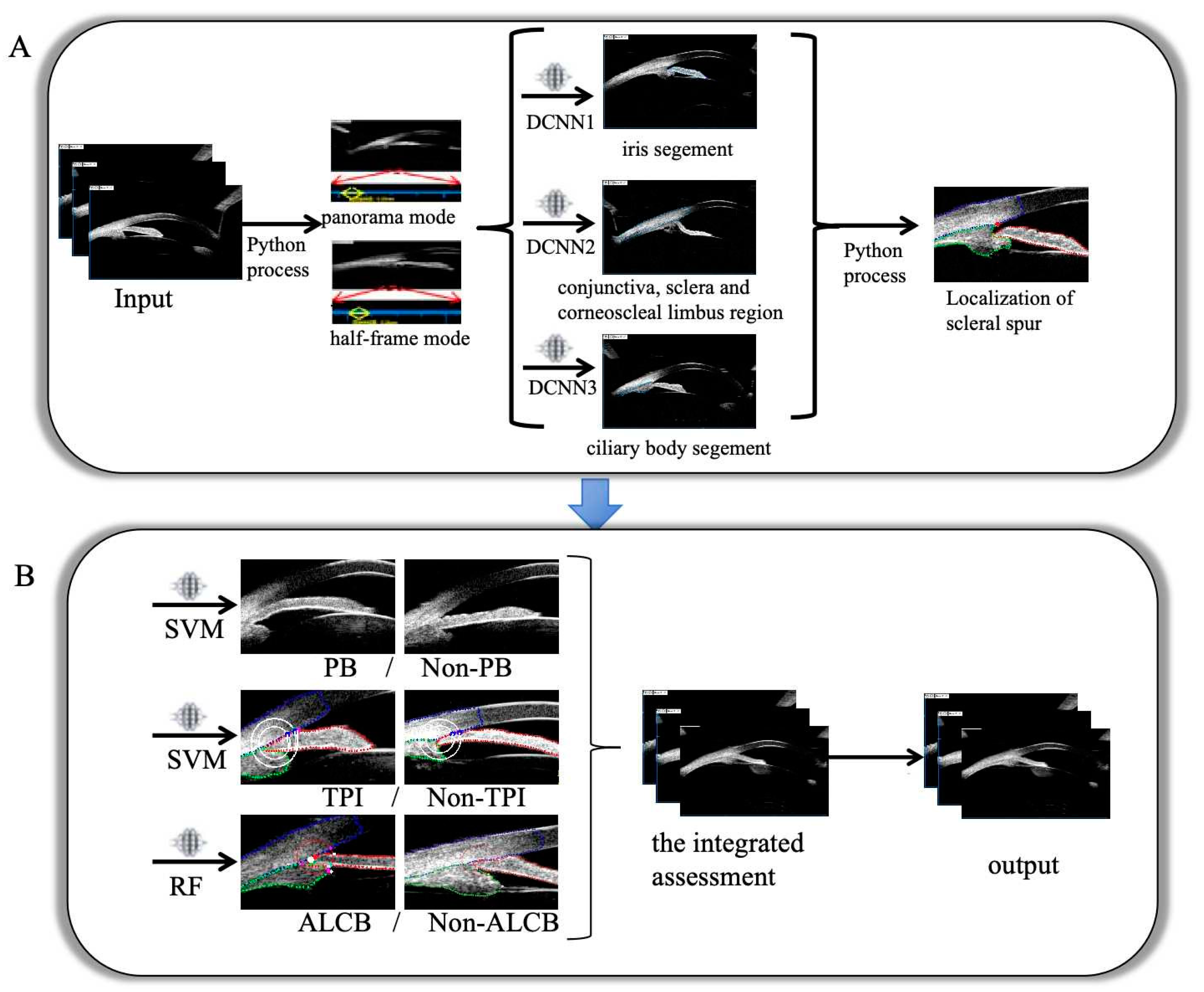 Bioengineering 12 00415 g002