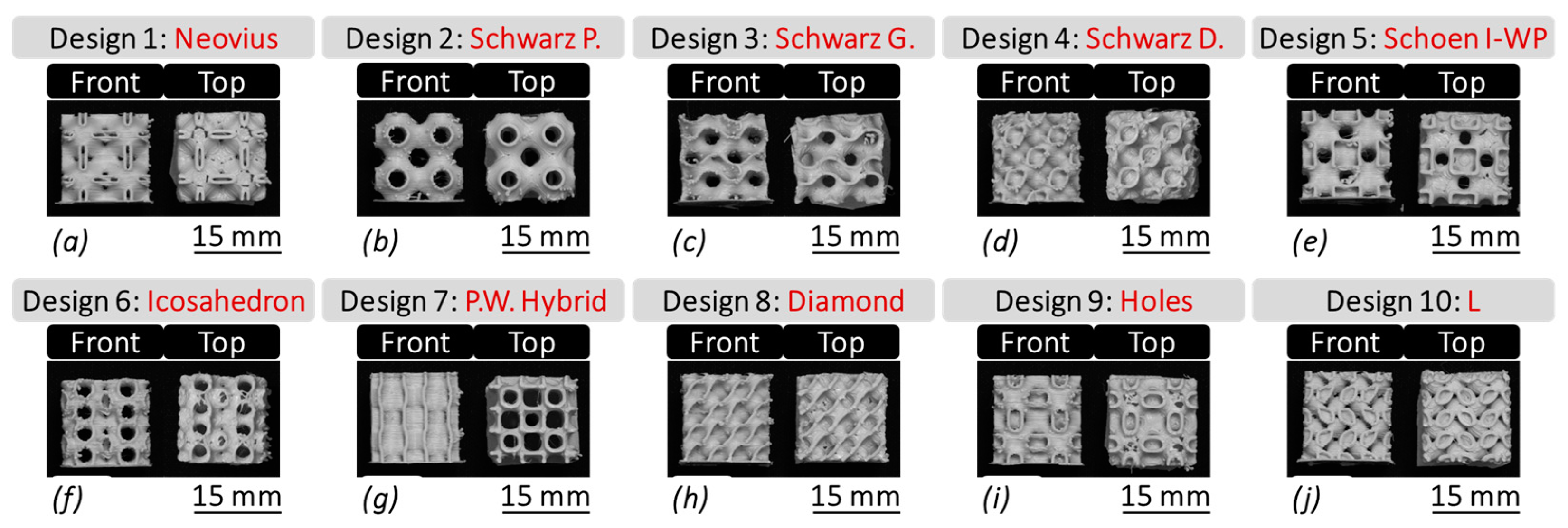 Bioengineering 12 00416 g003