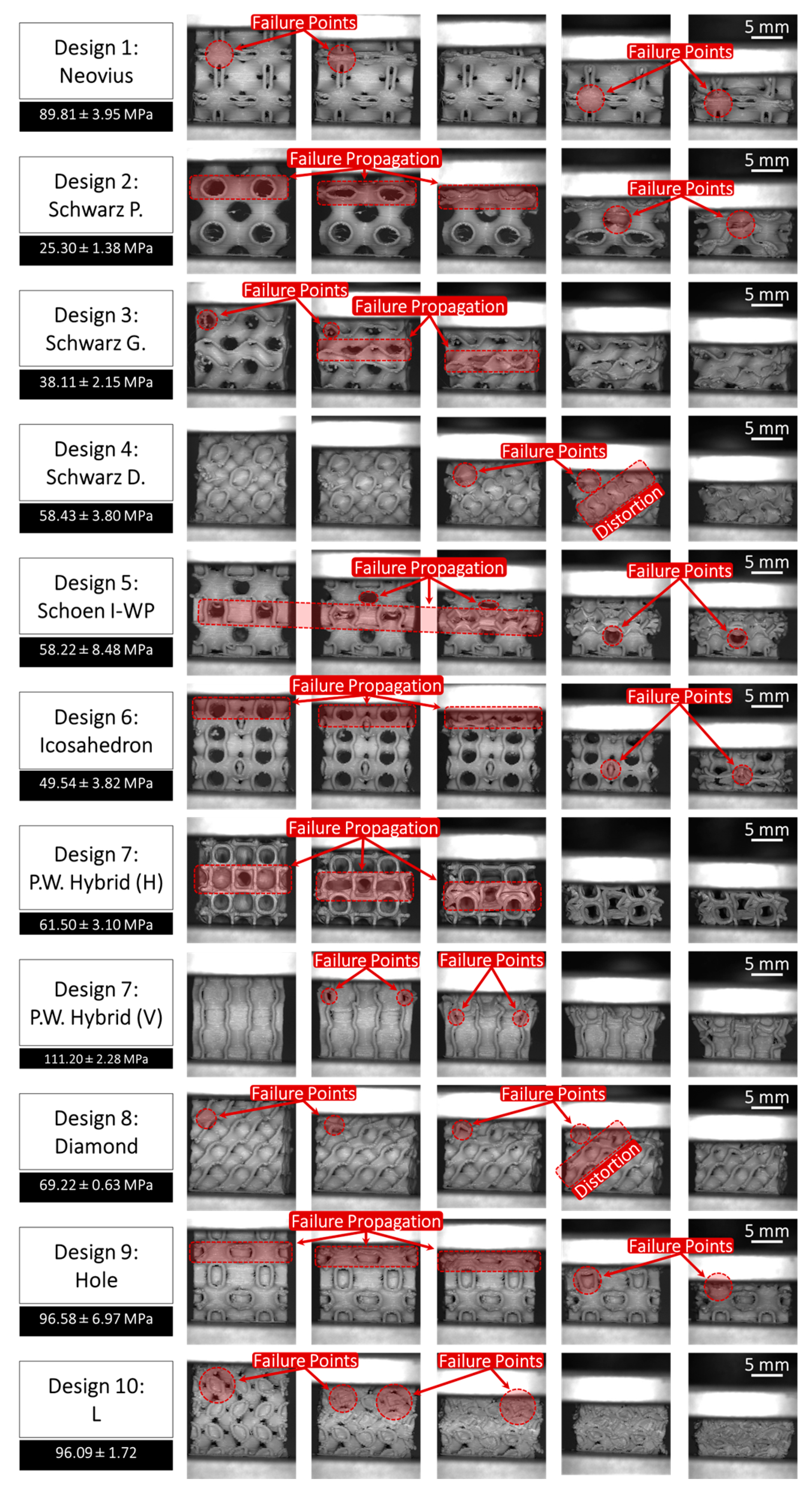 Bioengineering 12 00416 g007
