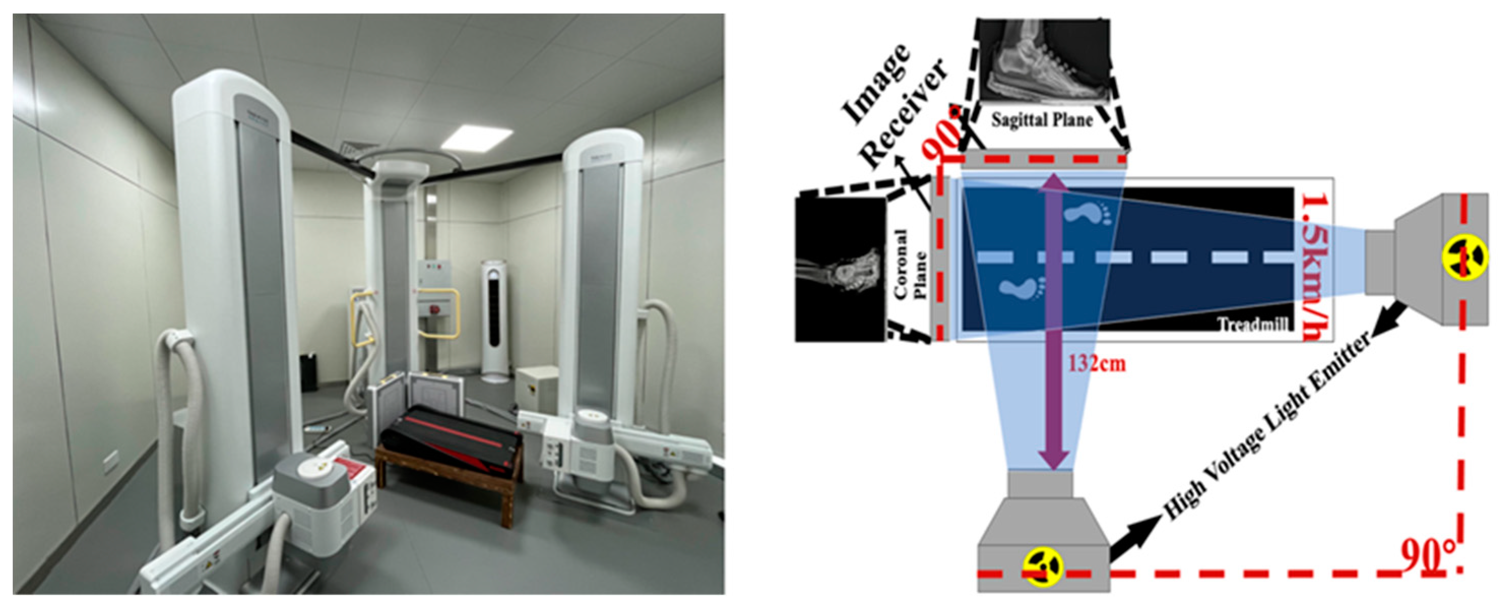 Bioengineering 12 00418 g003