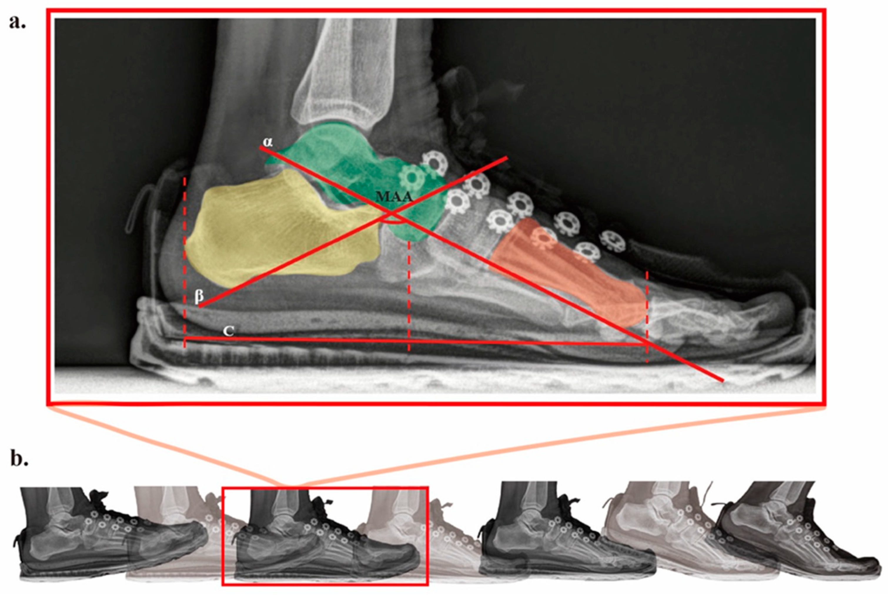 Bioengineering 12 00418 g004