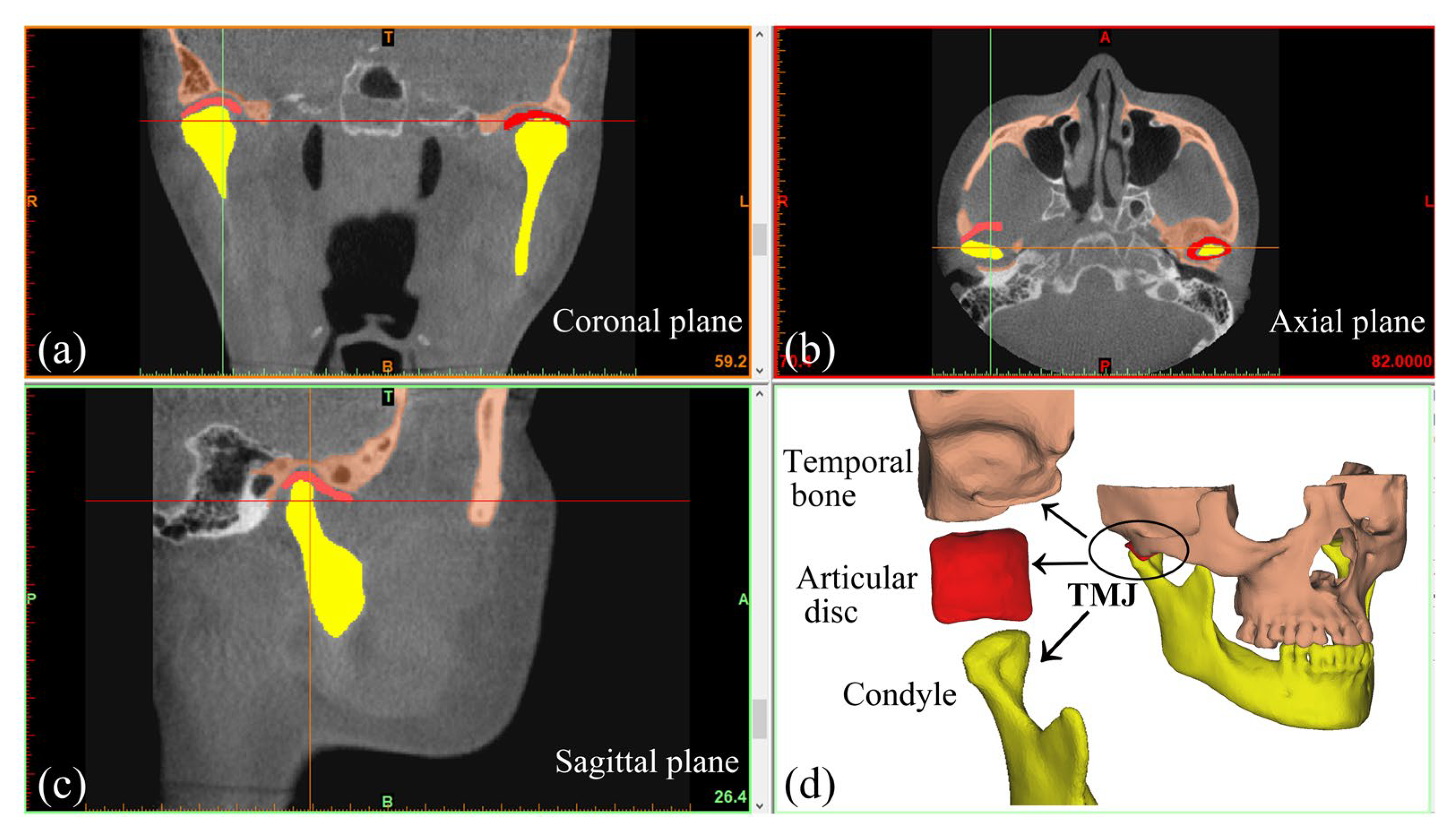 Bioengineering 12 00419 g001