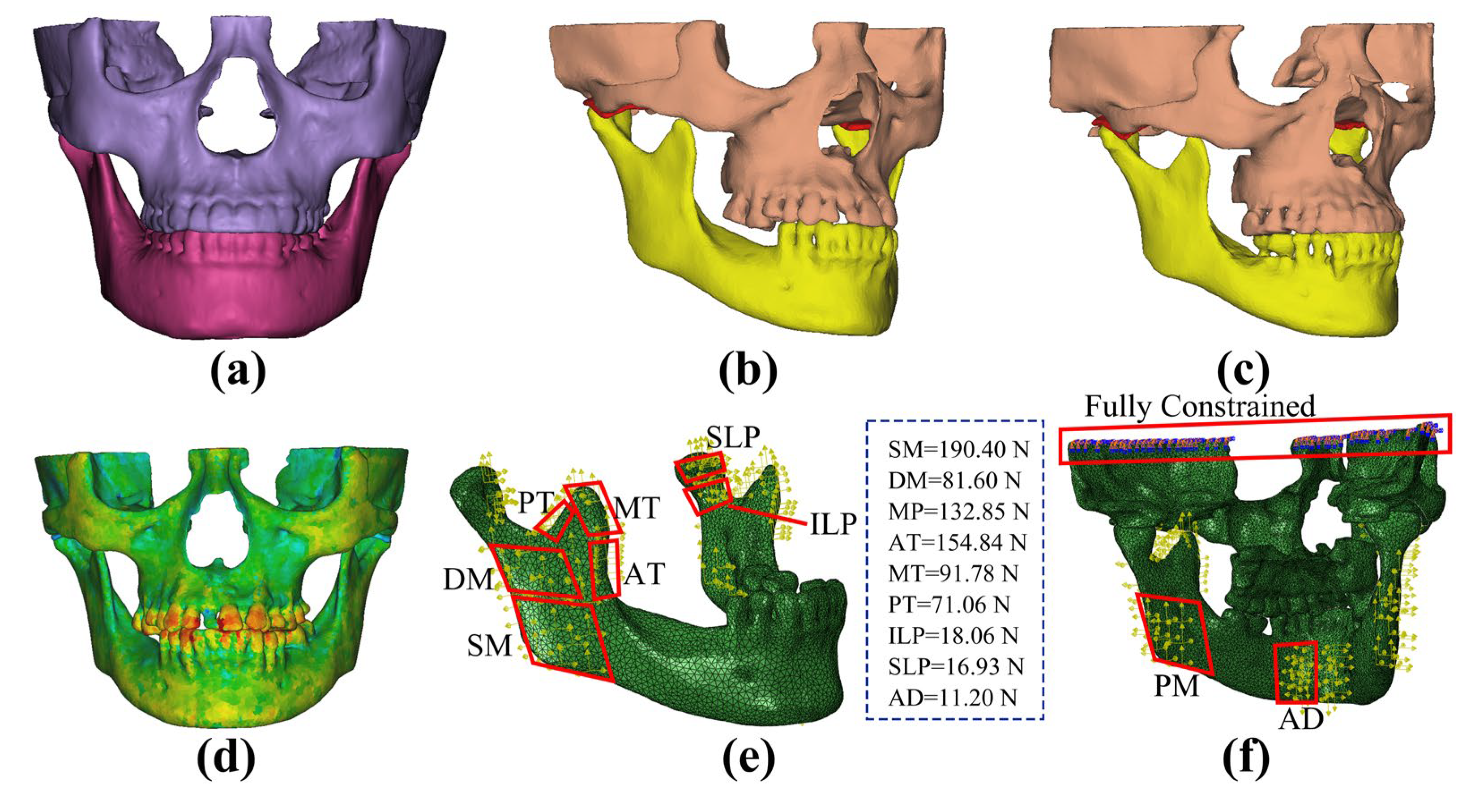 Bioengineering 12 00419 g002