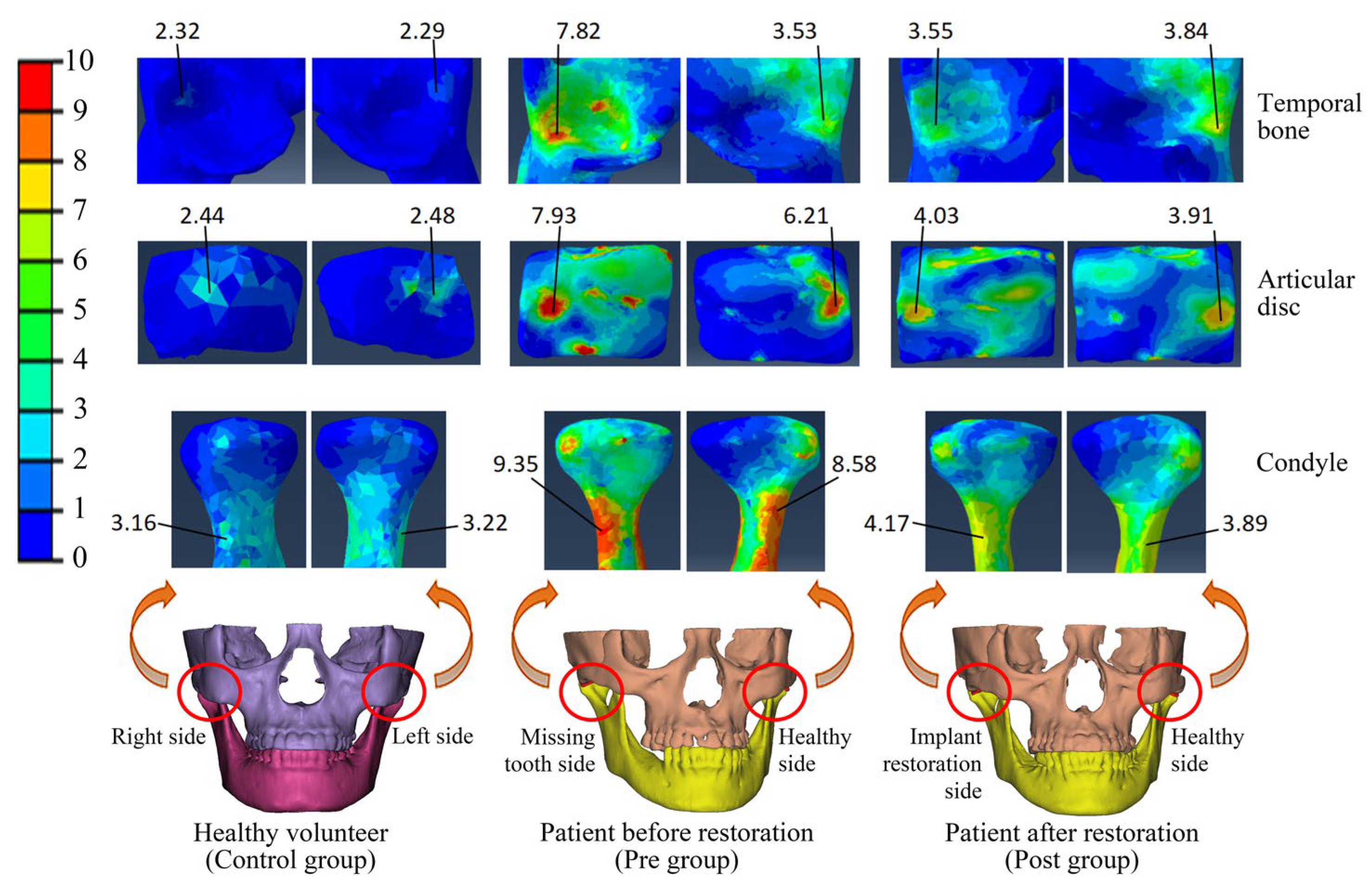 Bioengineering 12 00419 g003