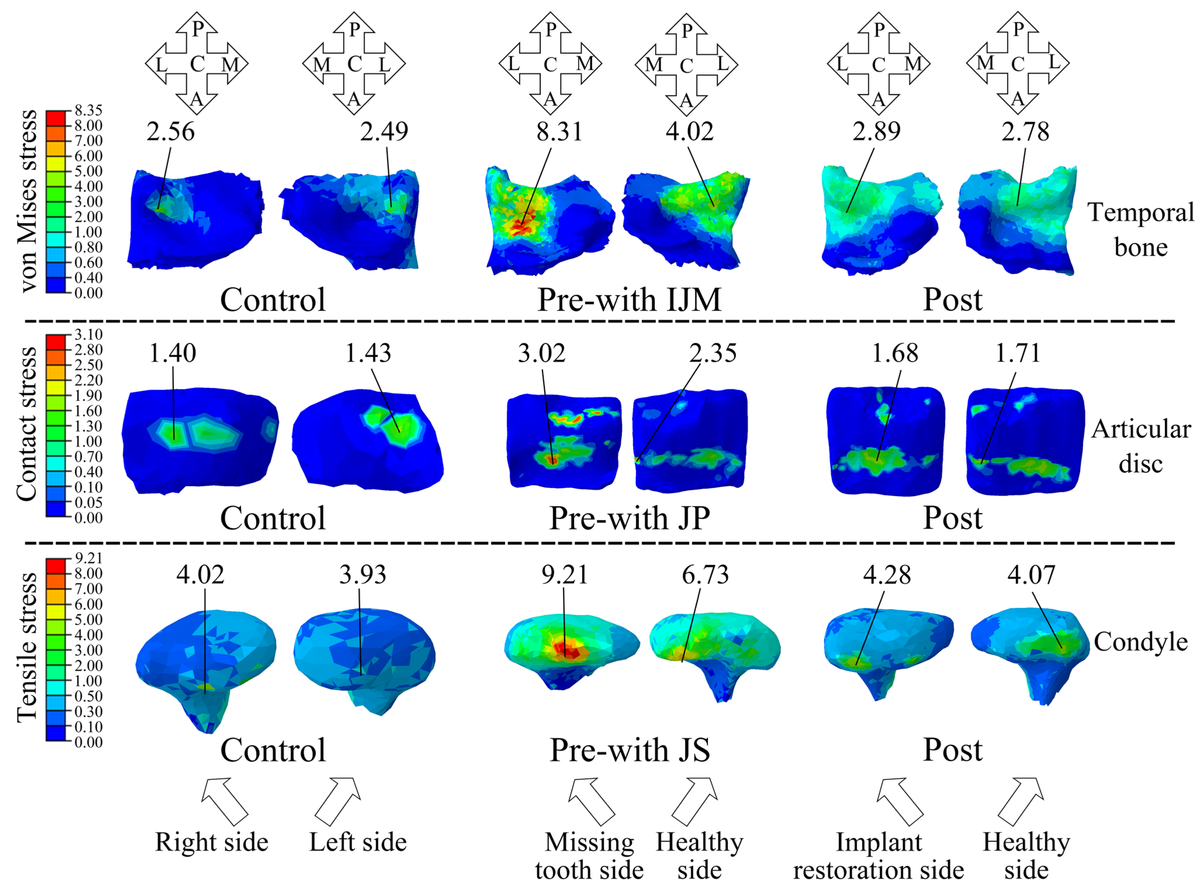 Bioengineering 12 00419 g006