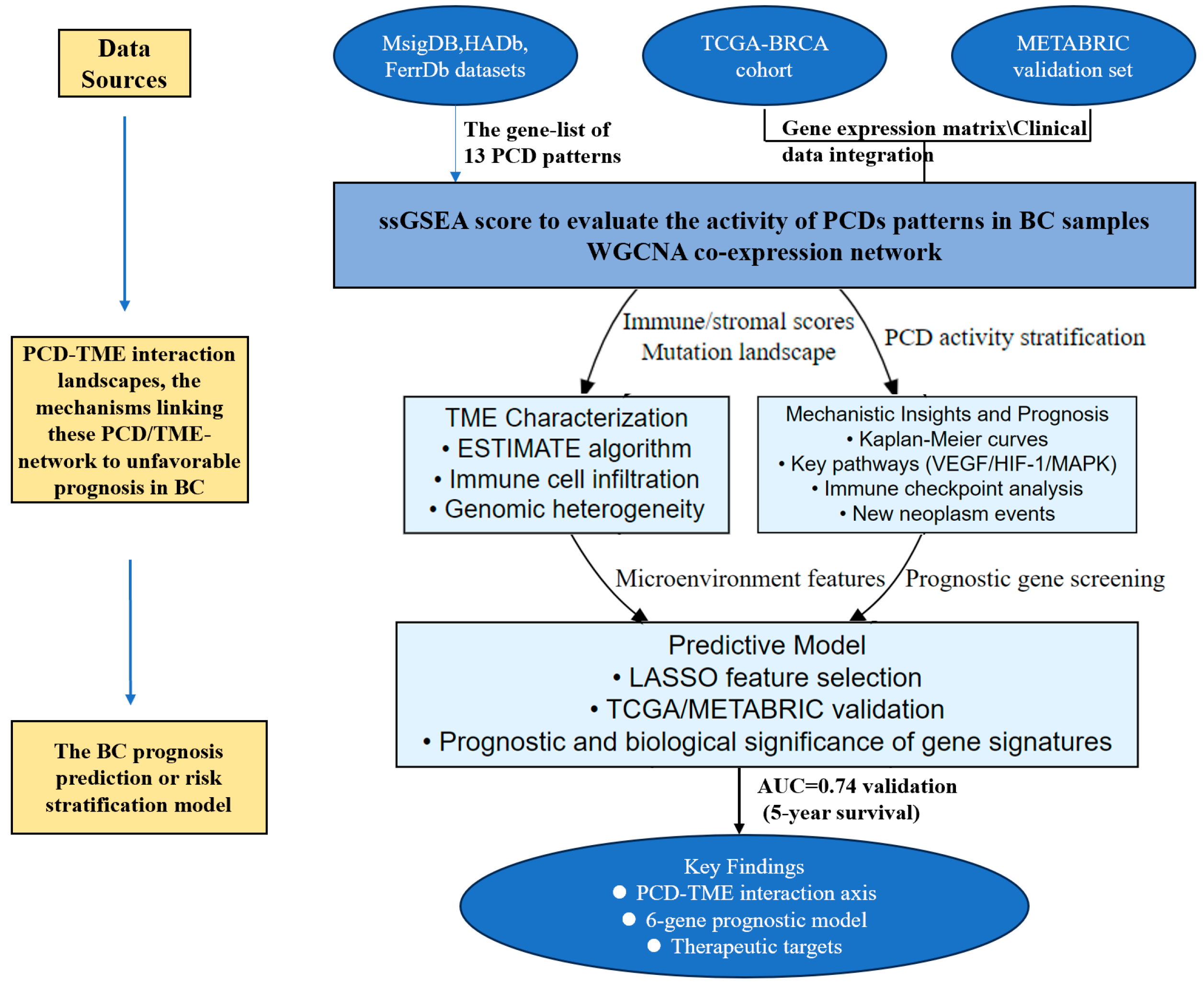 Bioengineering 12 00420 g001