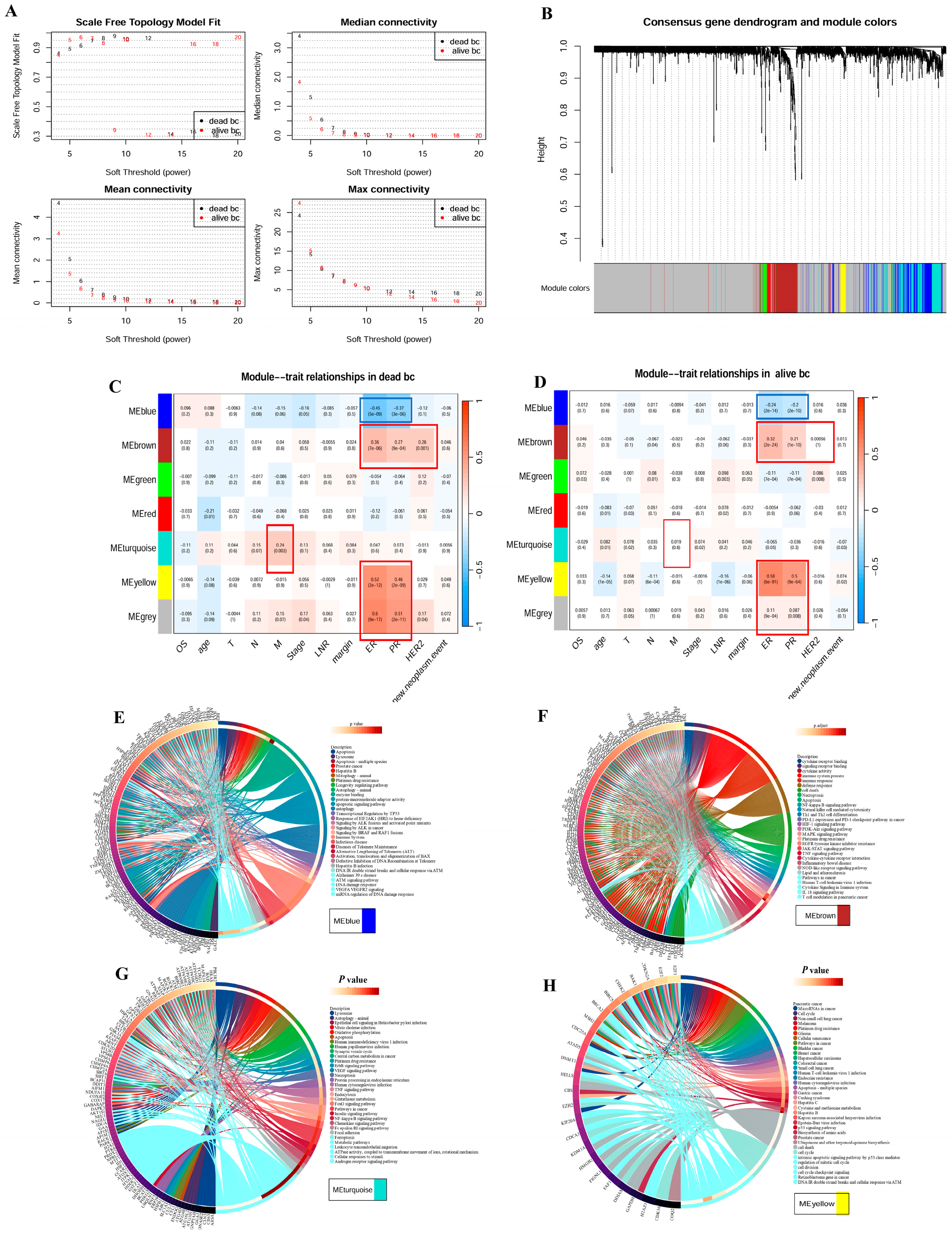 Bioengineering 12 00420 g003