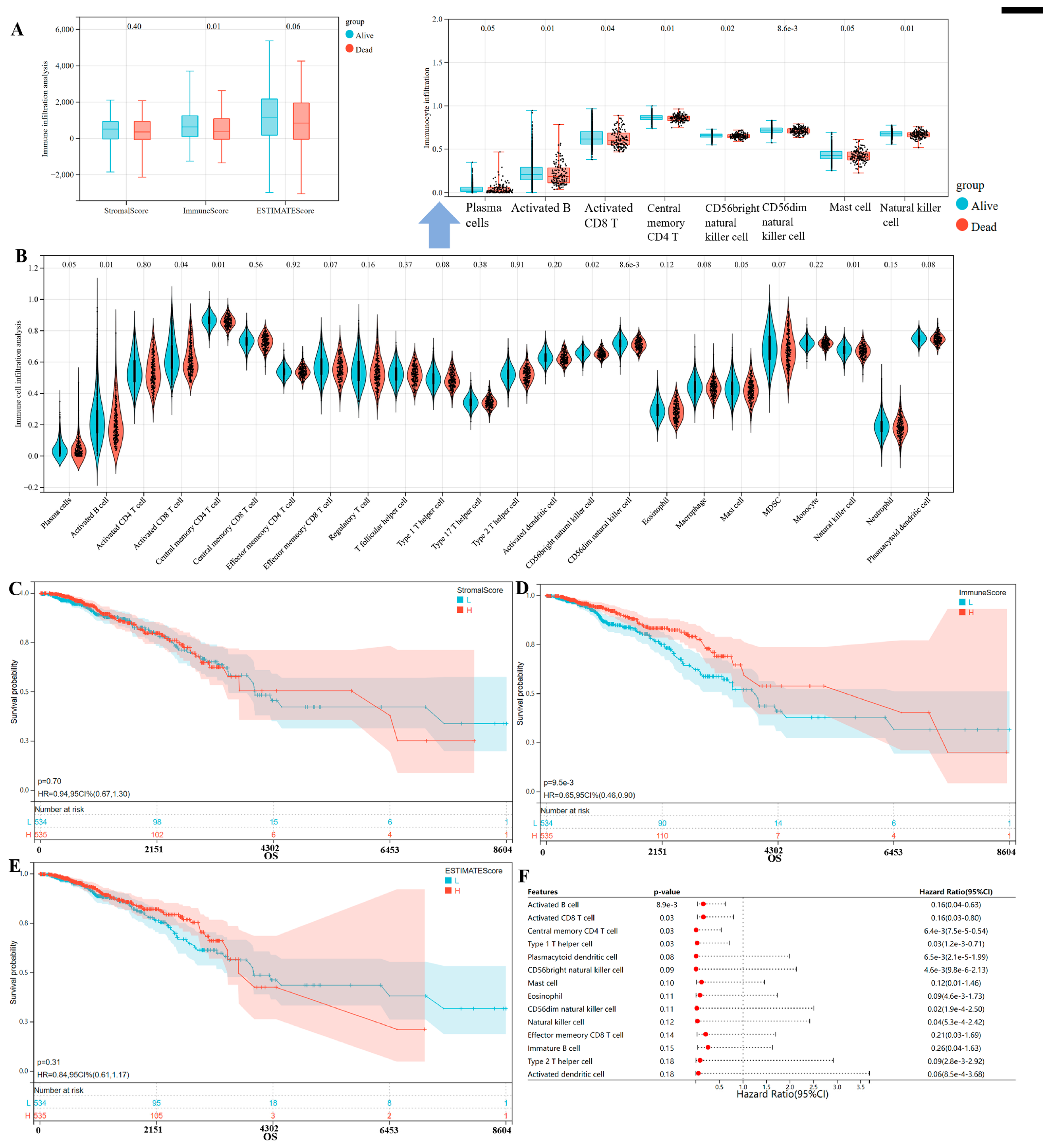 Bioengineering 12 00420 g004