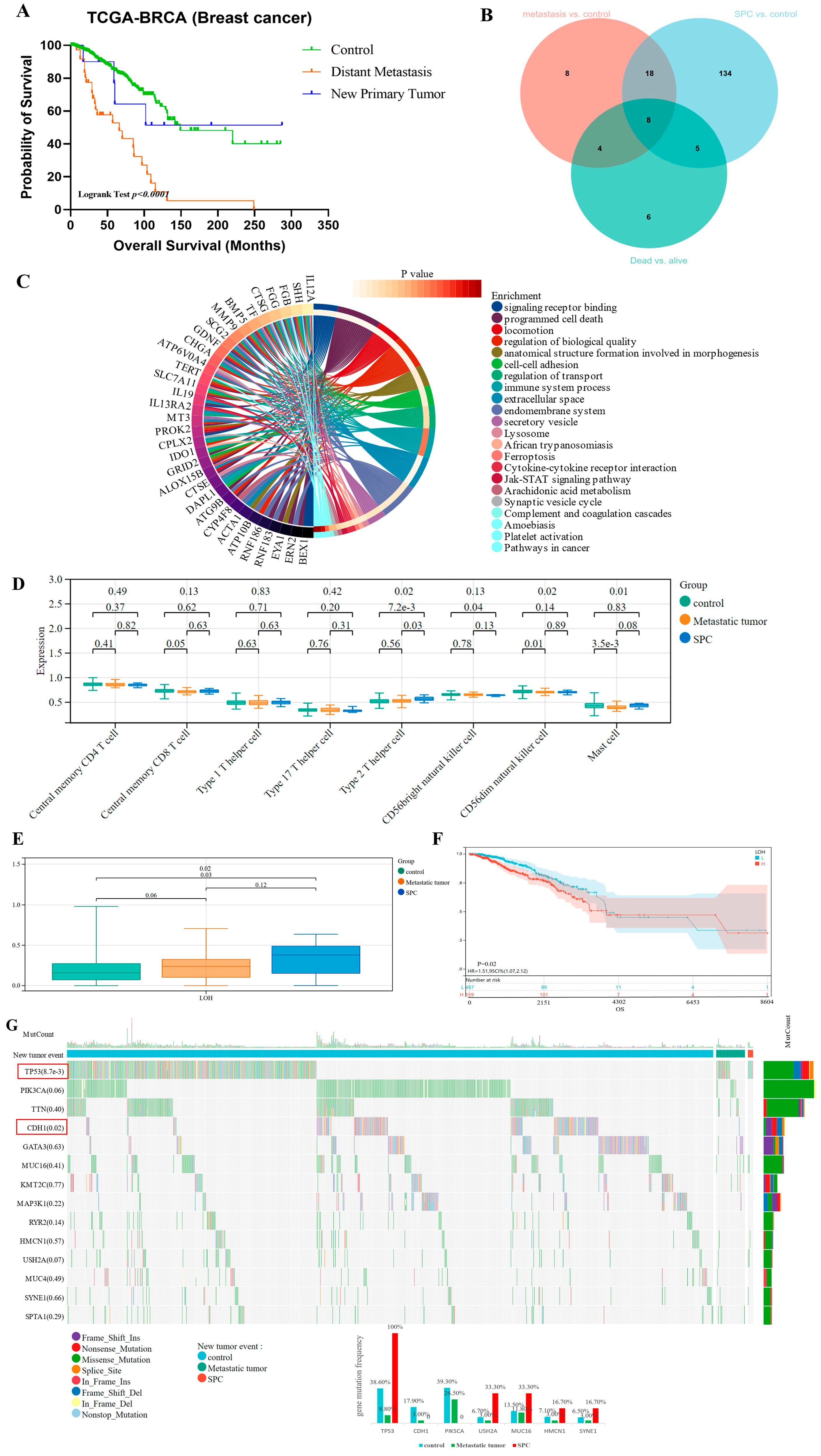 Bioengineering 12 00420 g006