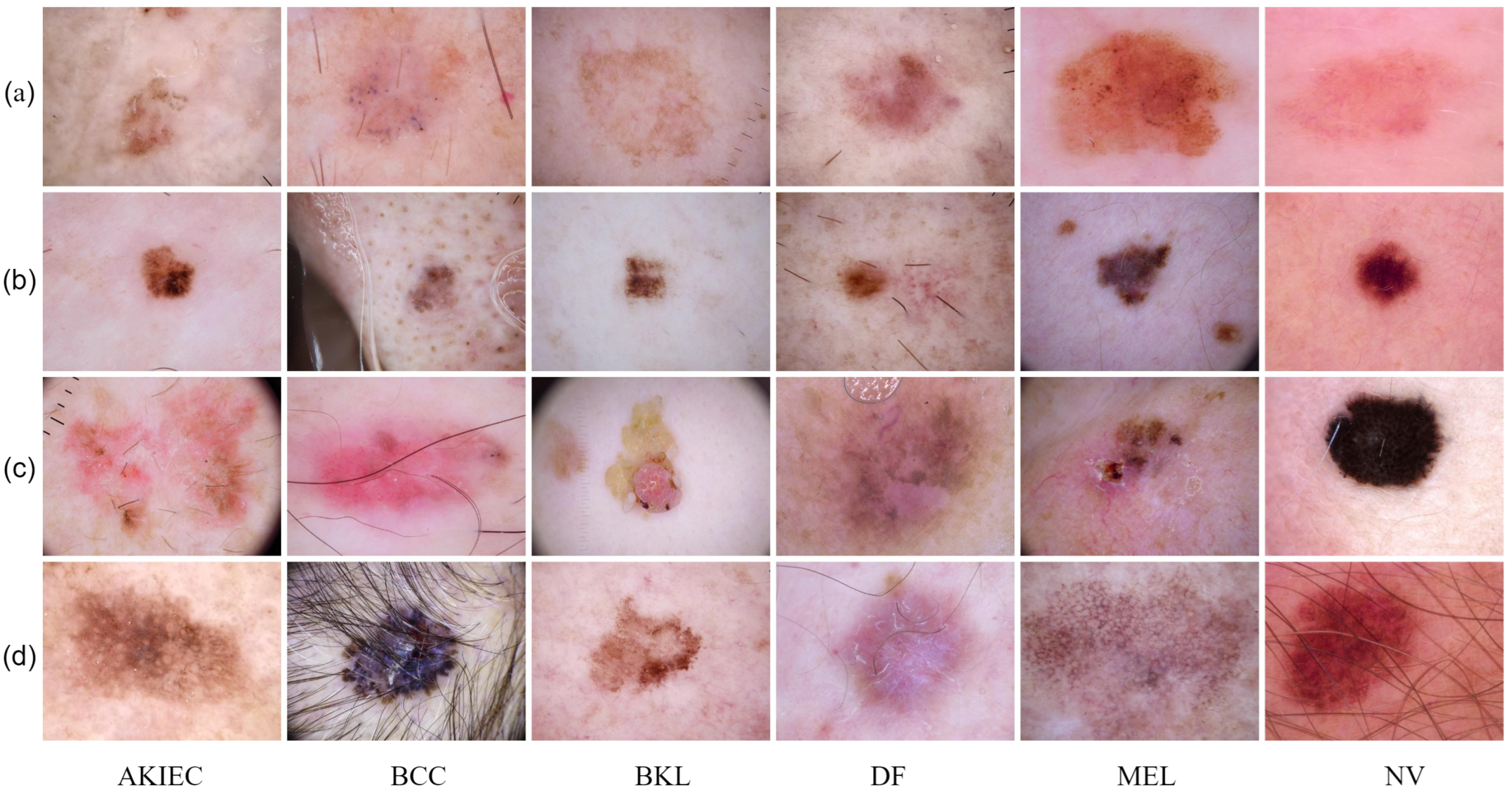 Bioengineering 12 00421 g001