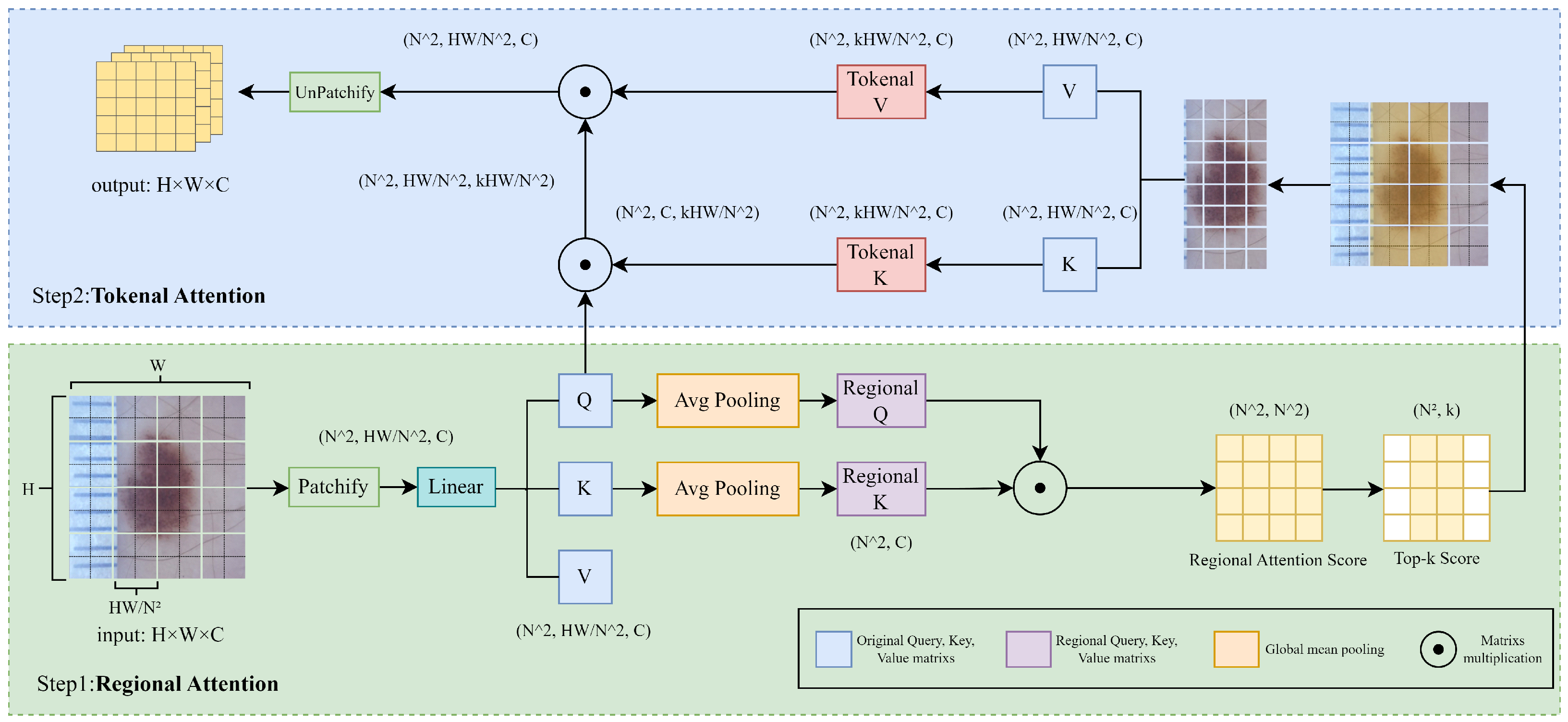 Bioengineering 12 00421 g002