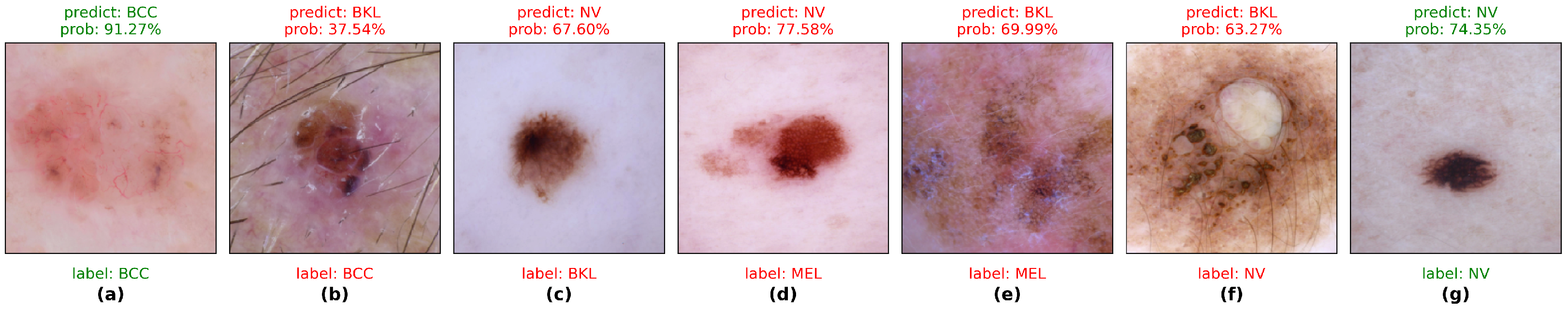Bioengineering 12 00421 g009