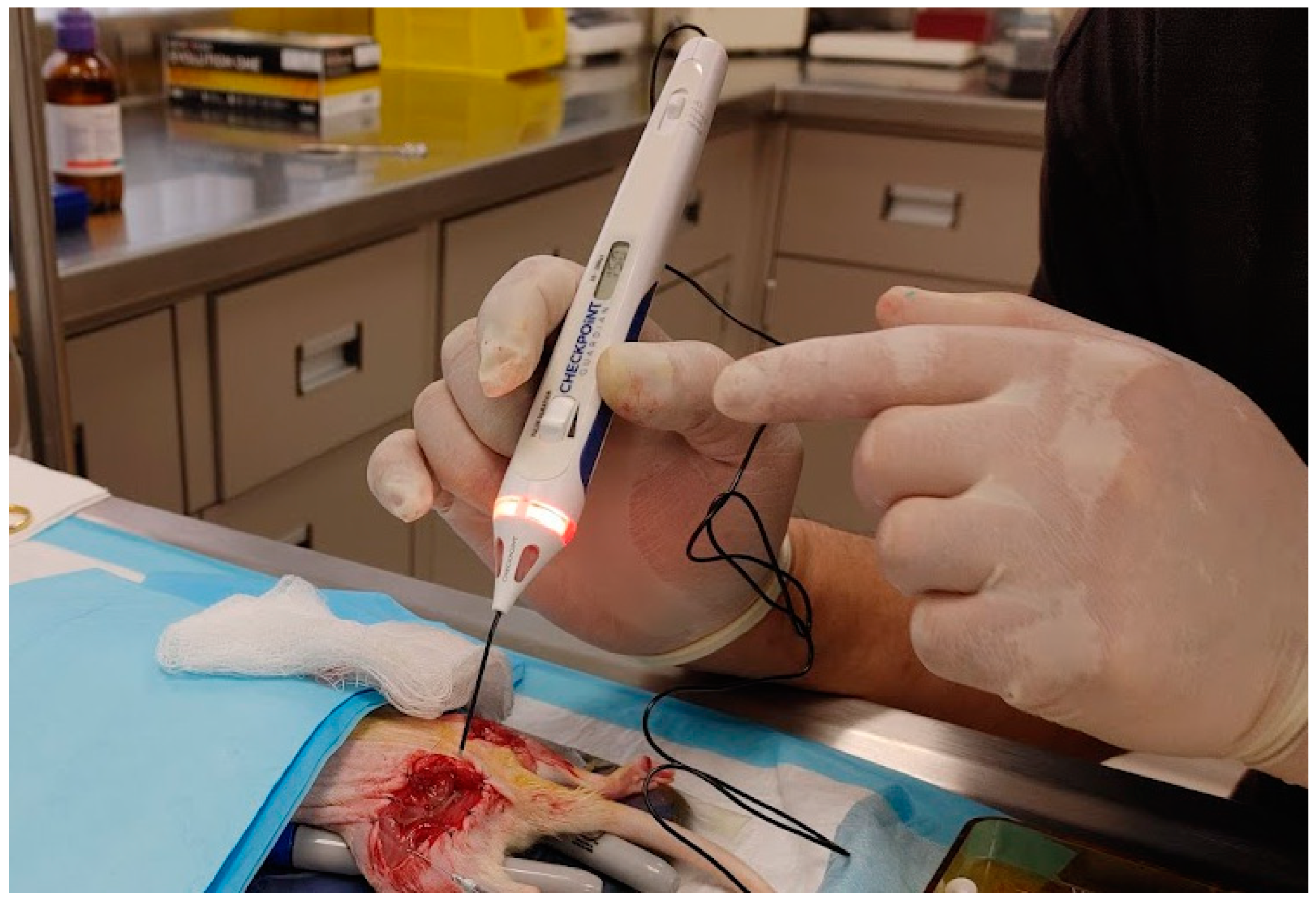 Bioengineering 12 00422 g002