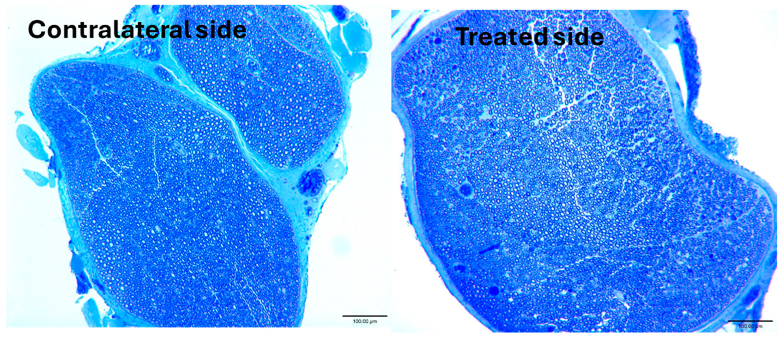 Bioengineering 12 00422 g006
