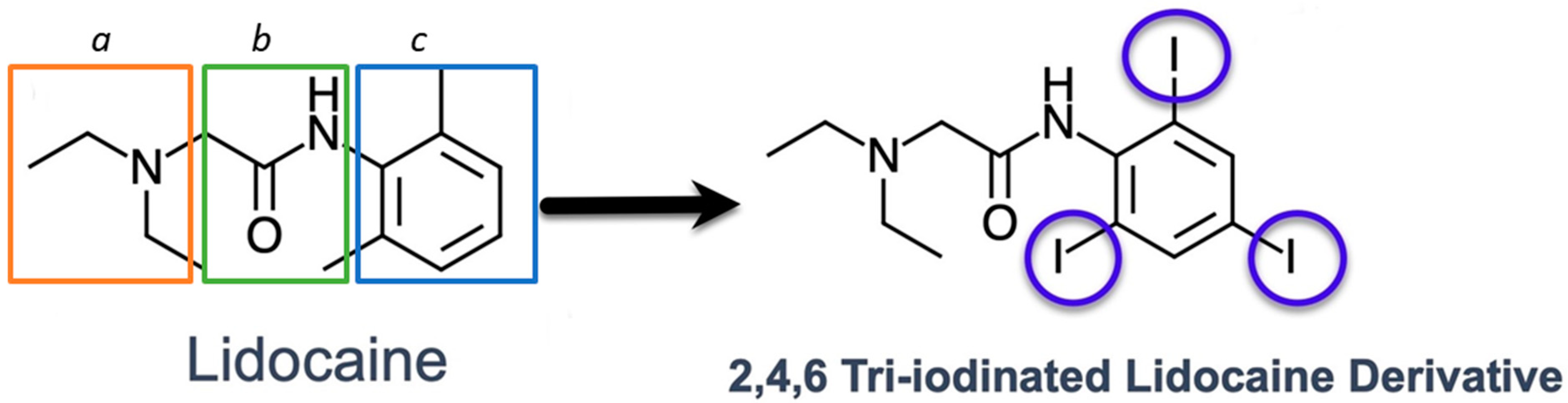 Bioengineering 12 00422 g007