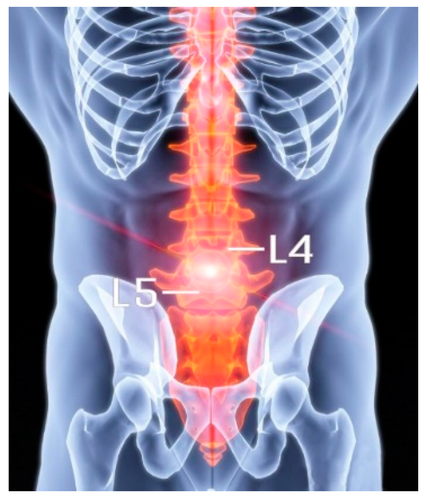 Bioengineering 12 00423 g001