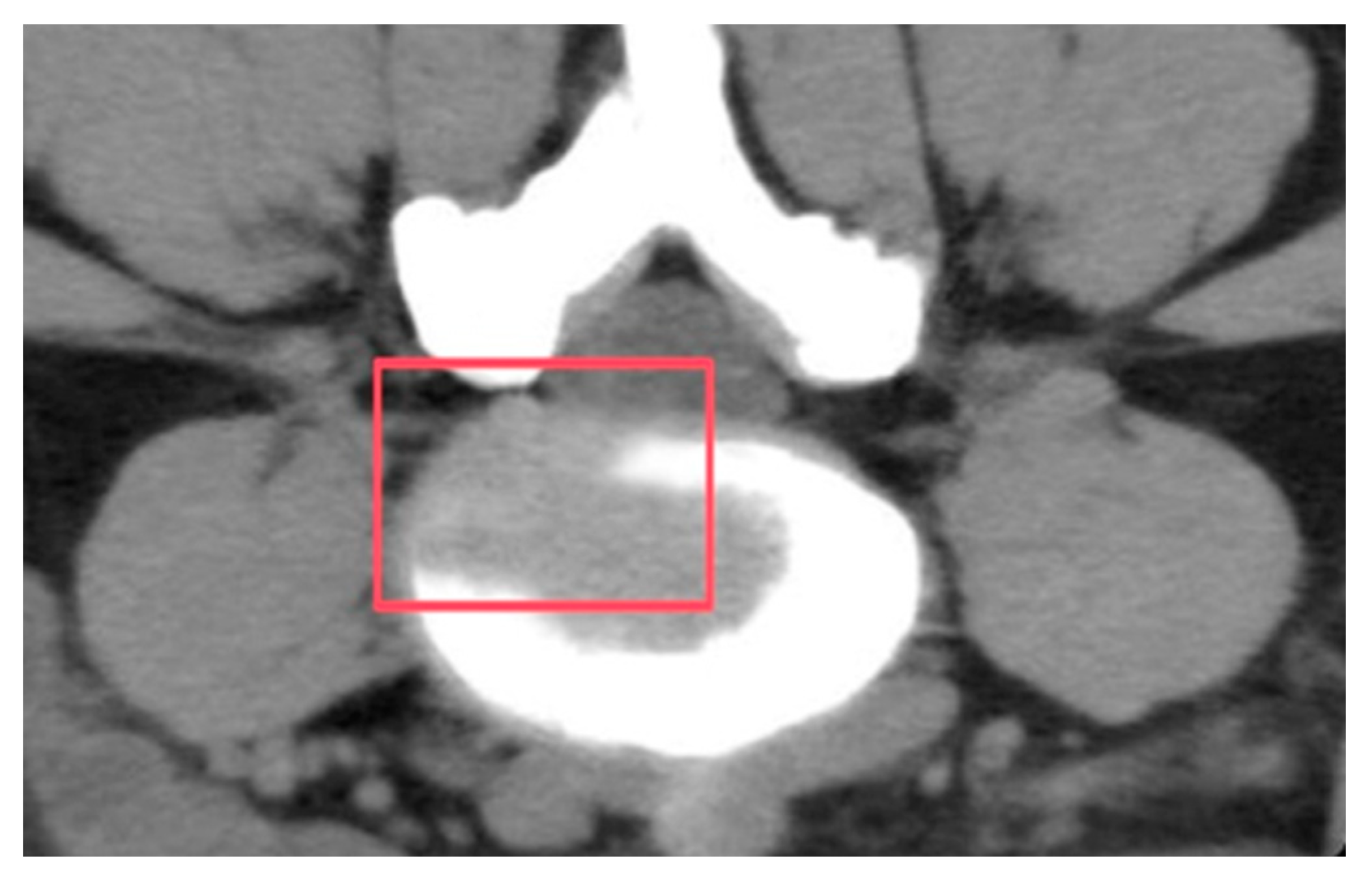 Bioengineering 12 00423 g002