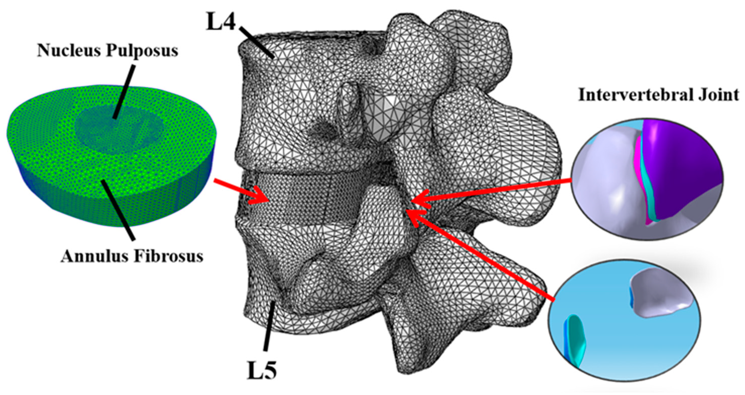 Bioengineering 12 00423 g003