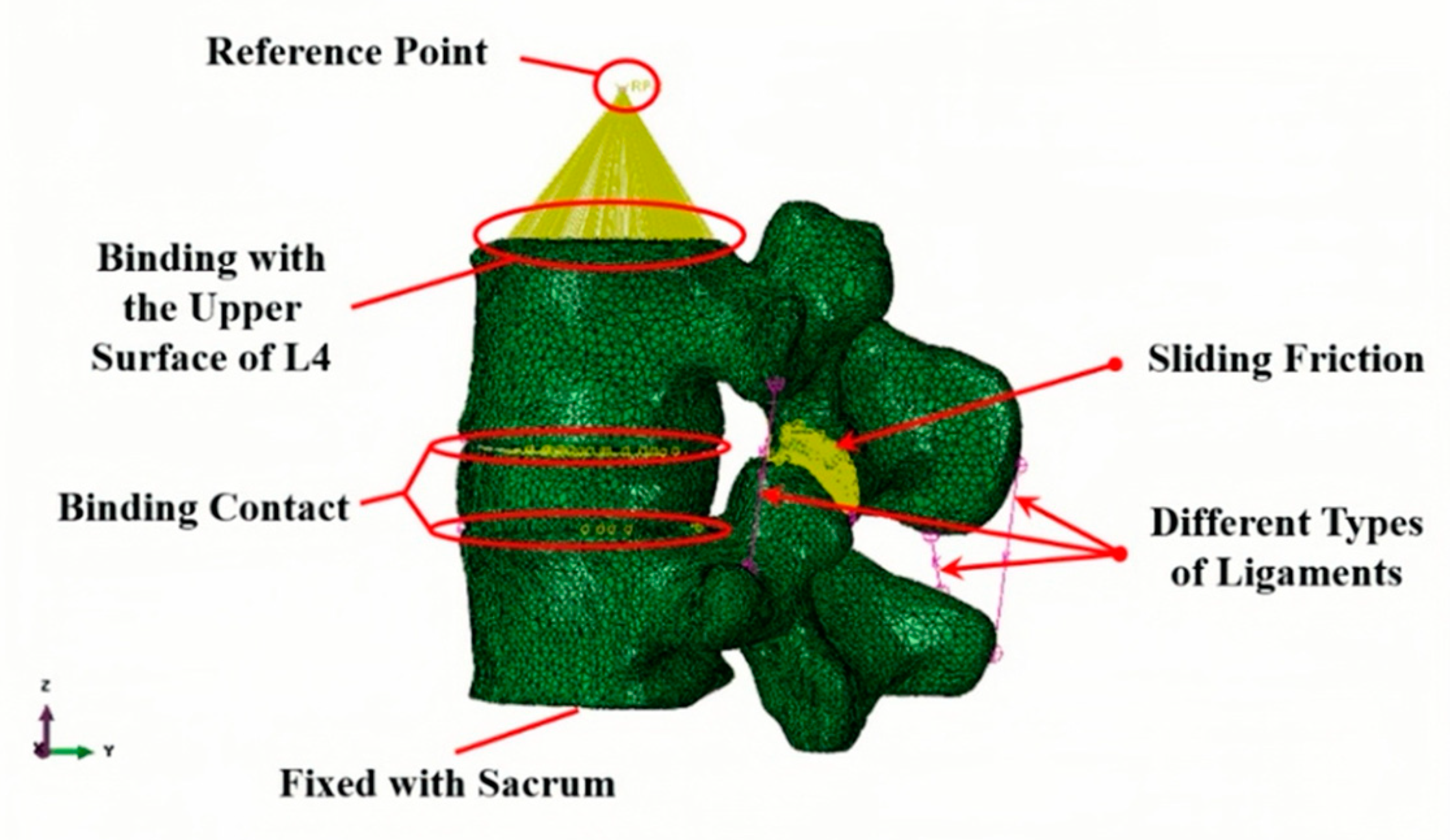 Bioengineering 12 00423 g005