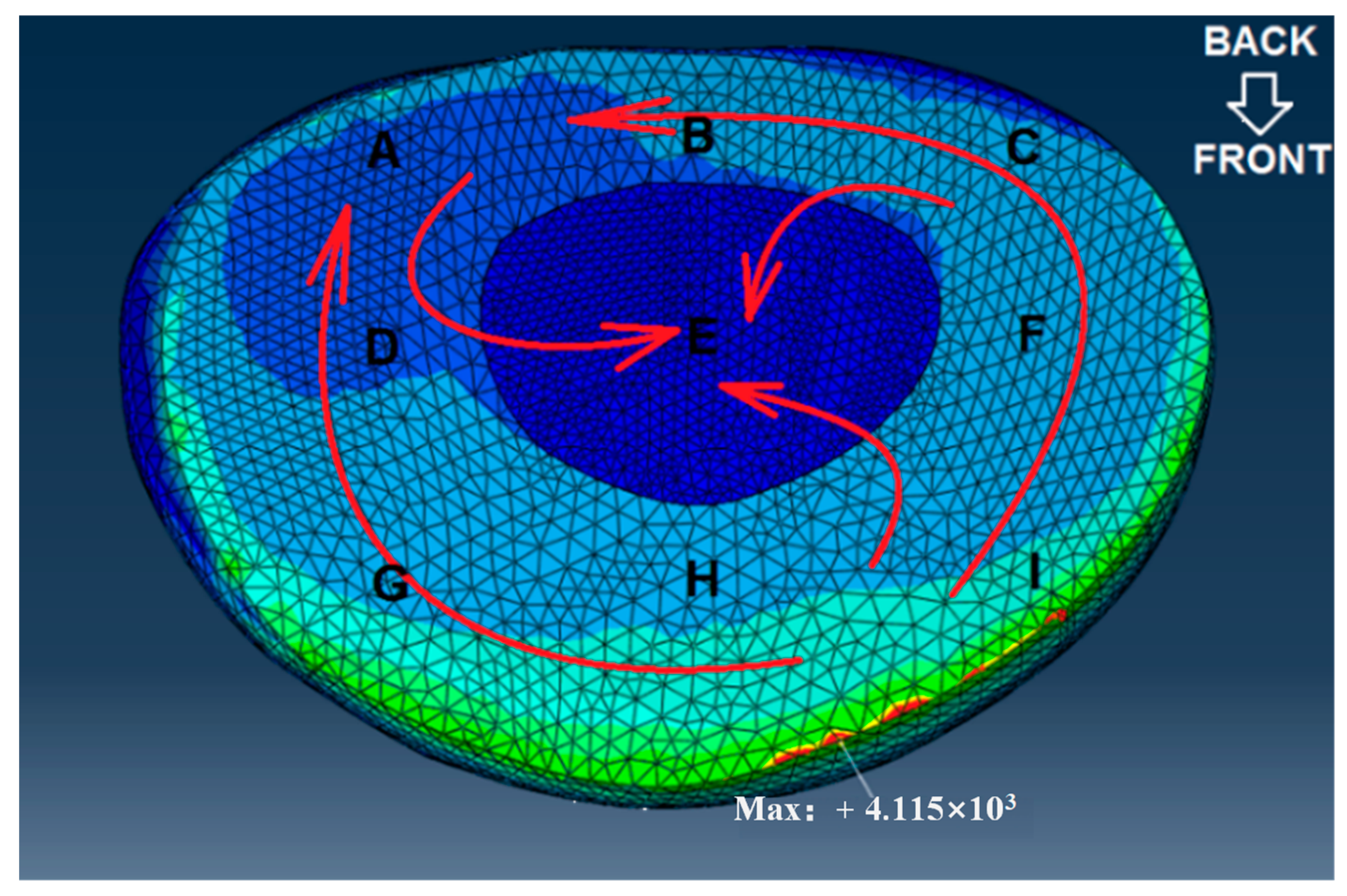 Bioengineering 12 00423 g009