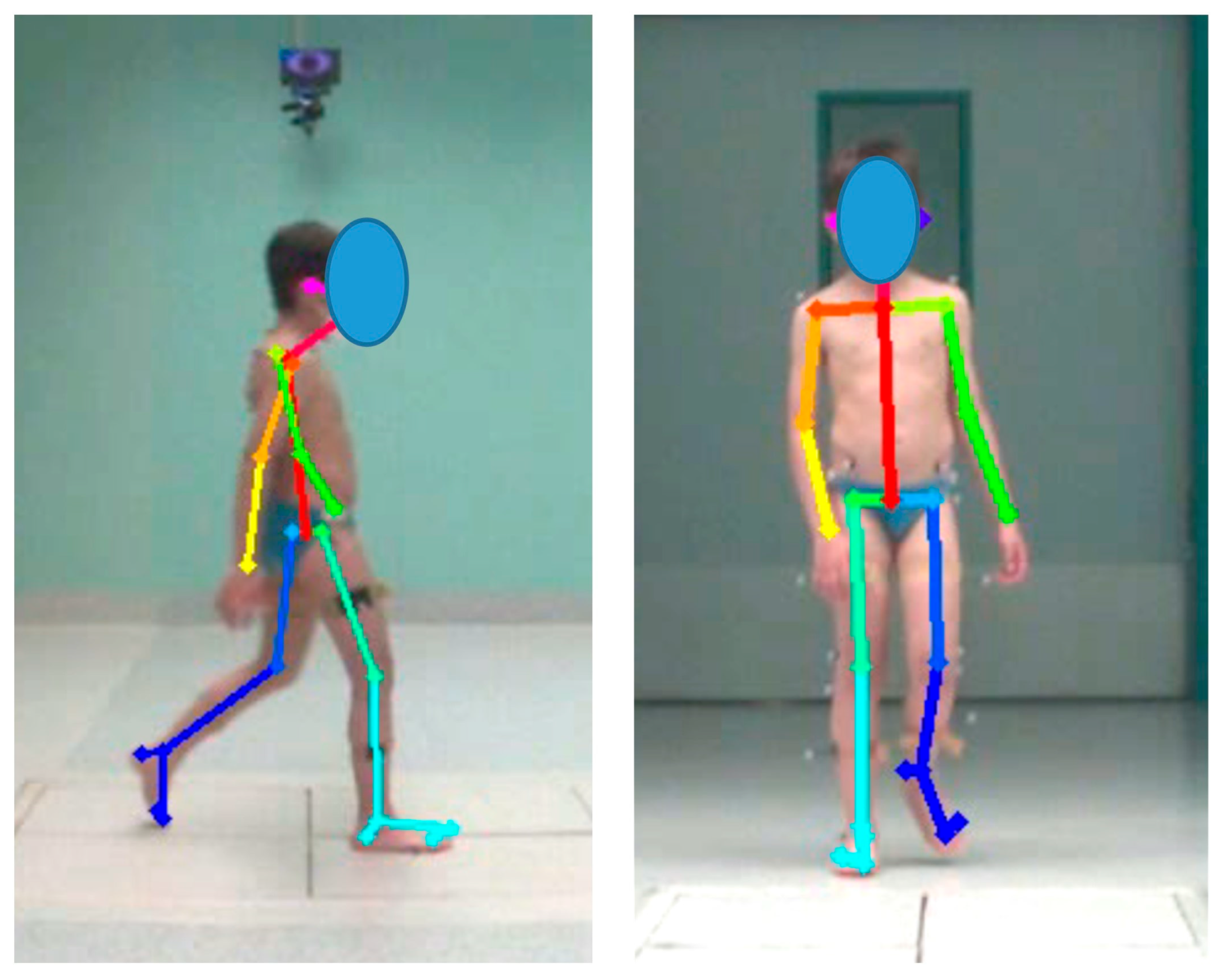 Bioengineering 12 00424 g002