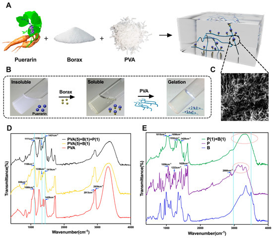 『K　プレート』 Self-Healing Polymeric Puerarin Hydrogel Dressing Promotes