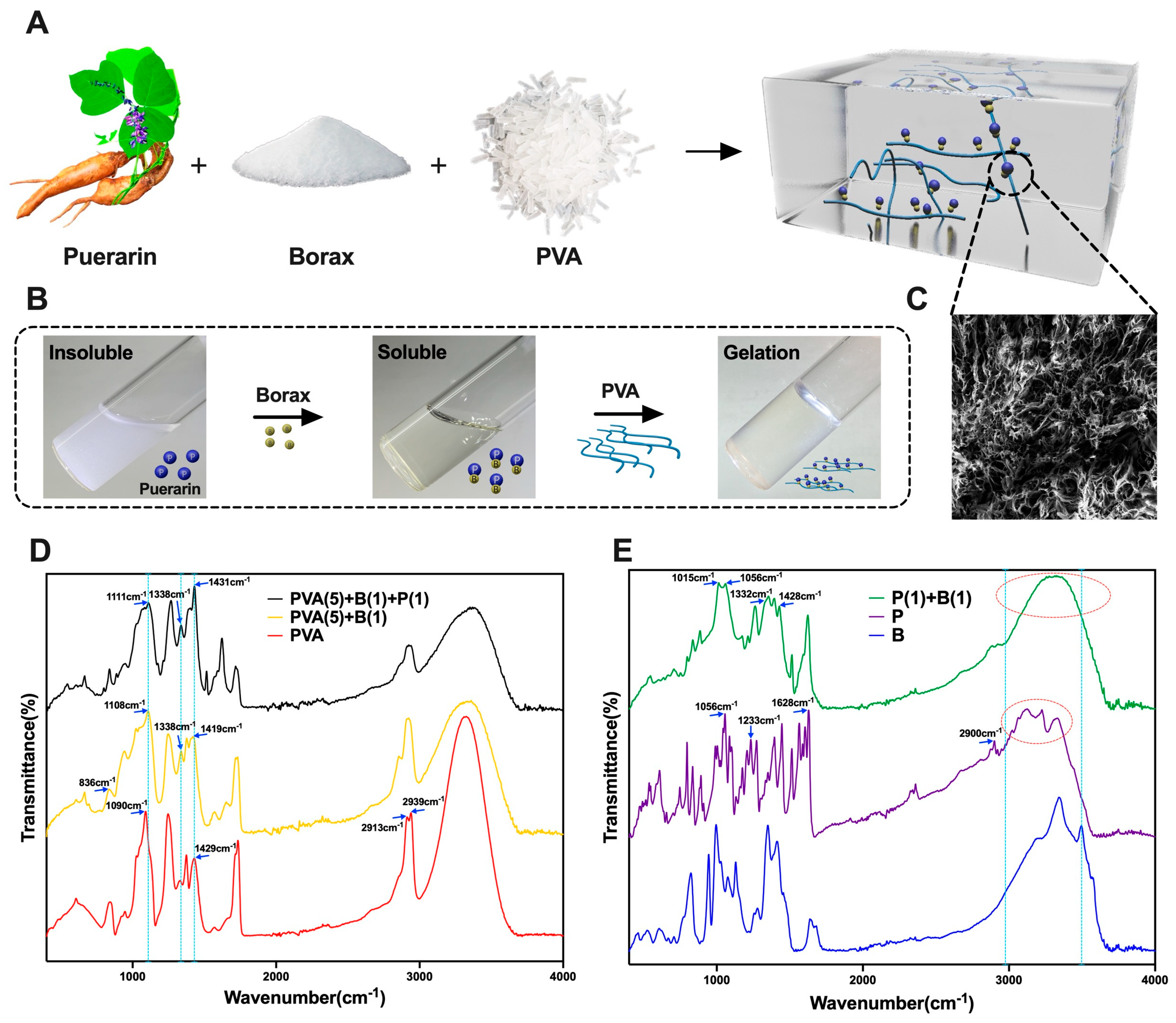 Bioengineering 12 00427 g001