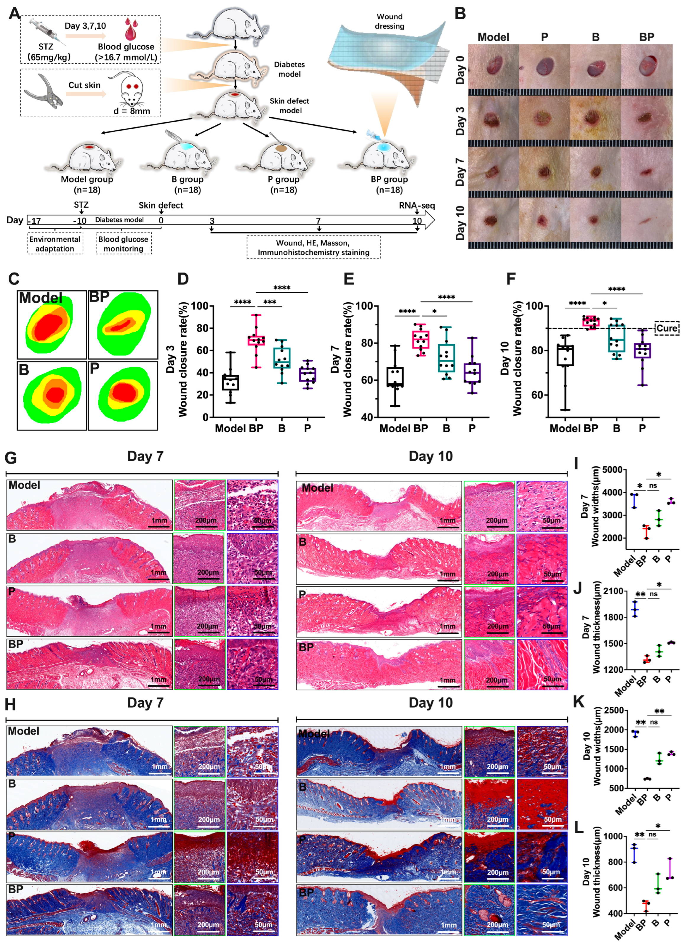 格安即決 Polymeric Self-Healing Puerarin Promotes Dressing Hydrogel その他