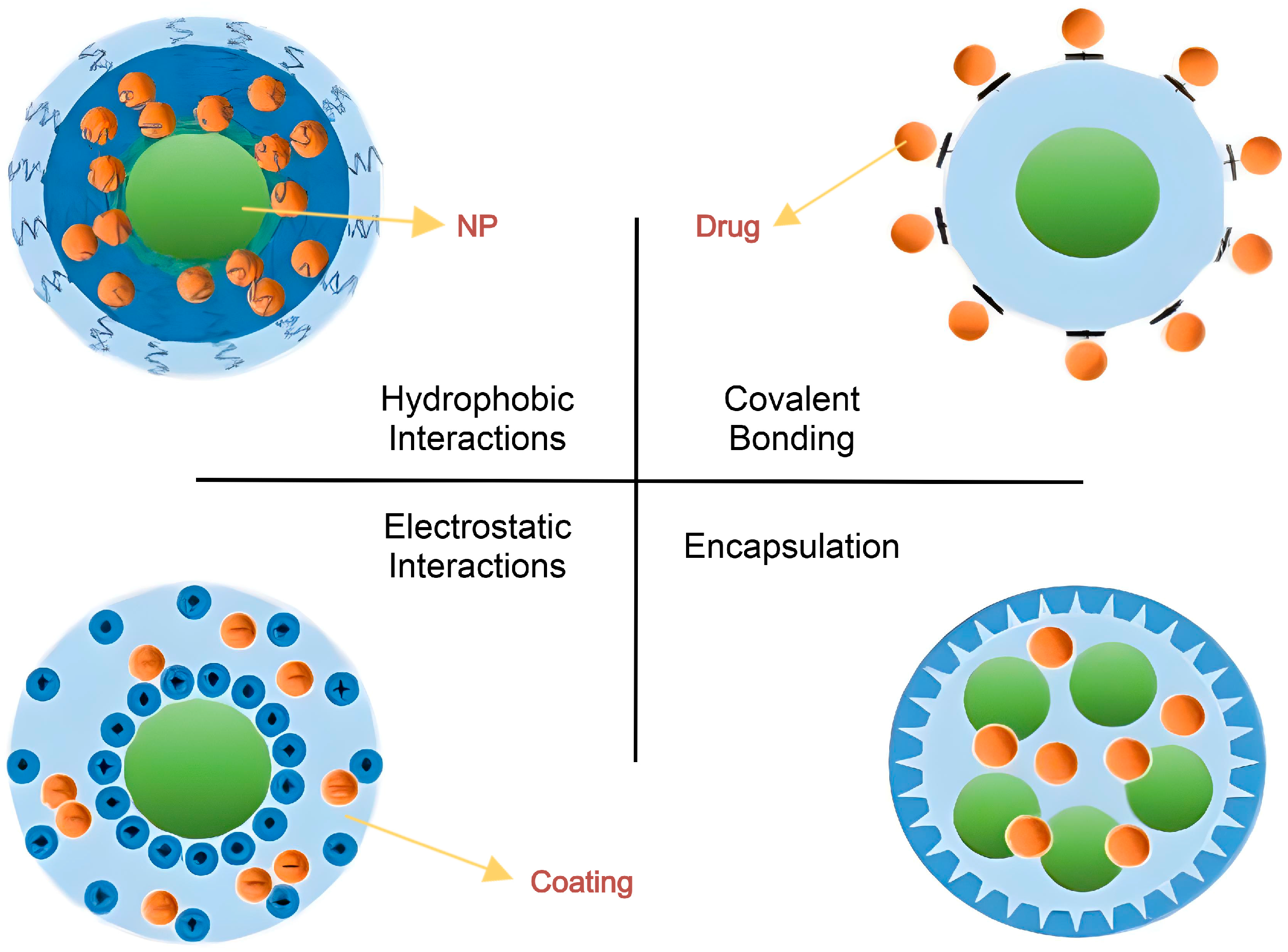 Bioengineering 12 00430 g002