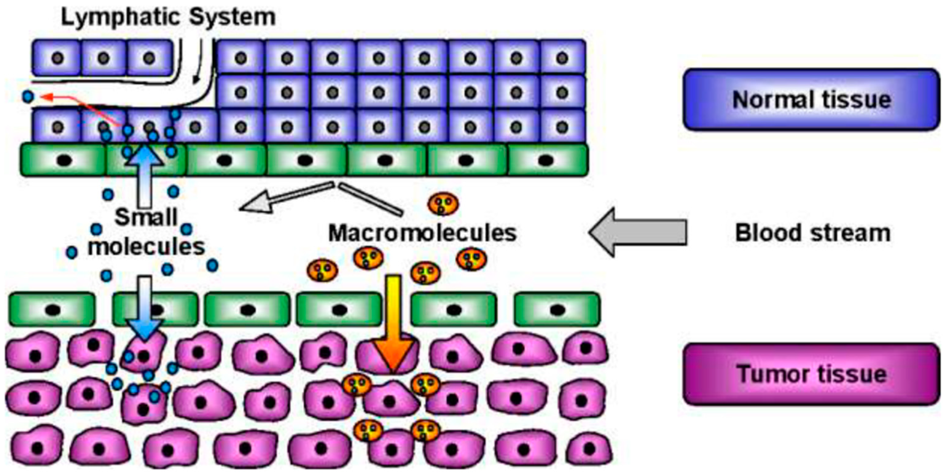 Bioengineering 12 00430 g003