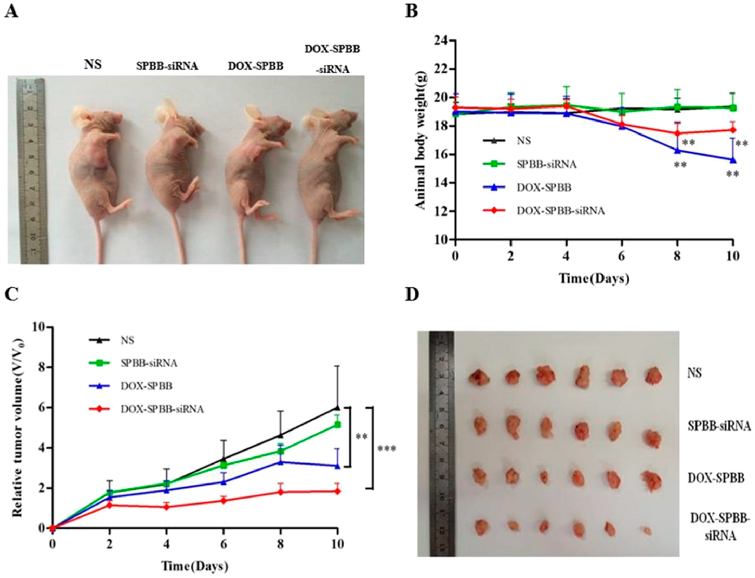 Bioengineering 12 00430 g006
