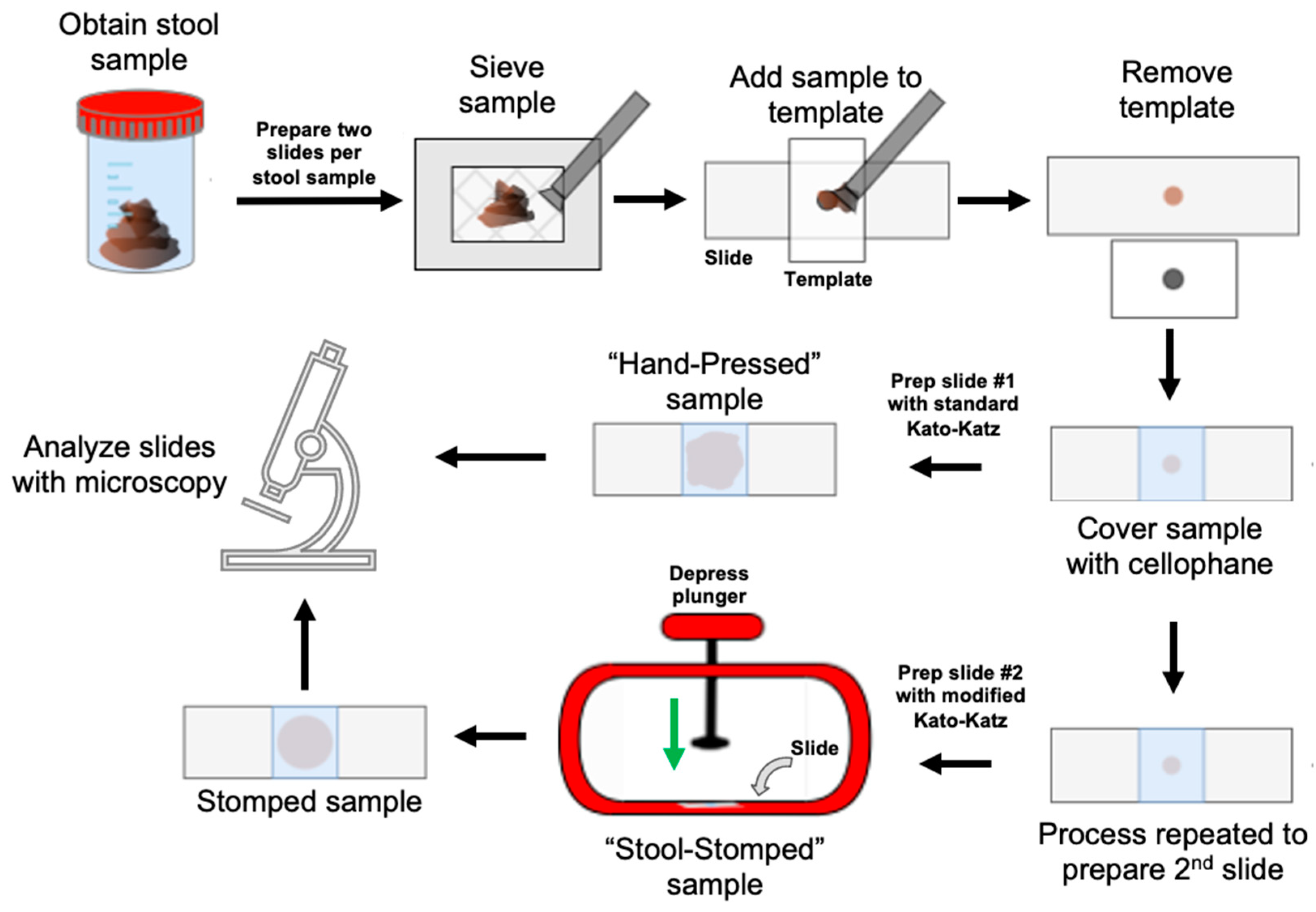 Bioengineering 12 00432 g001