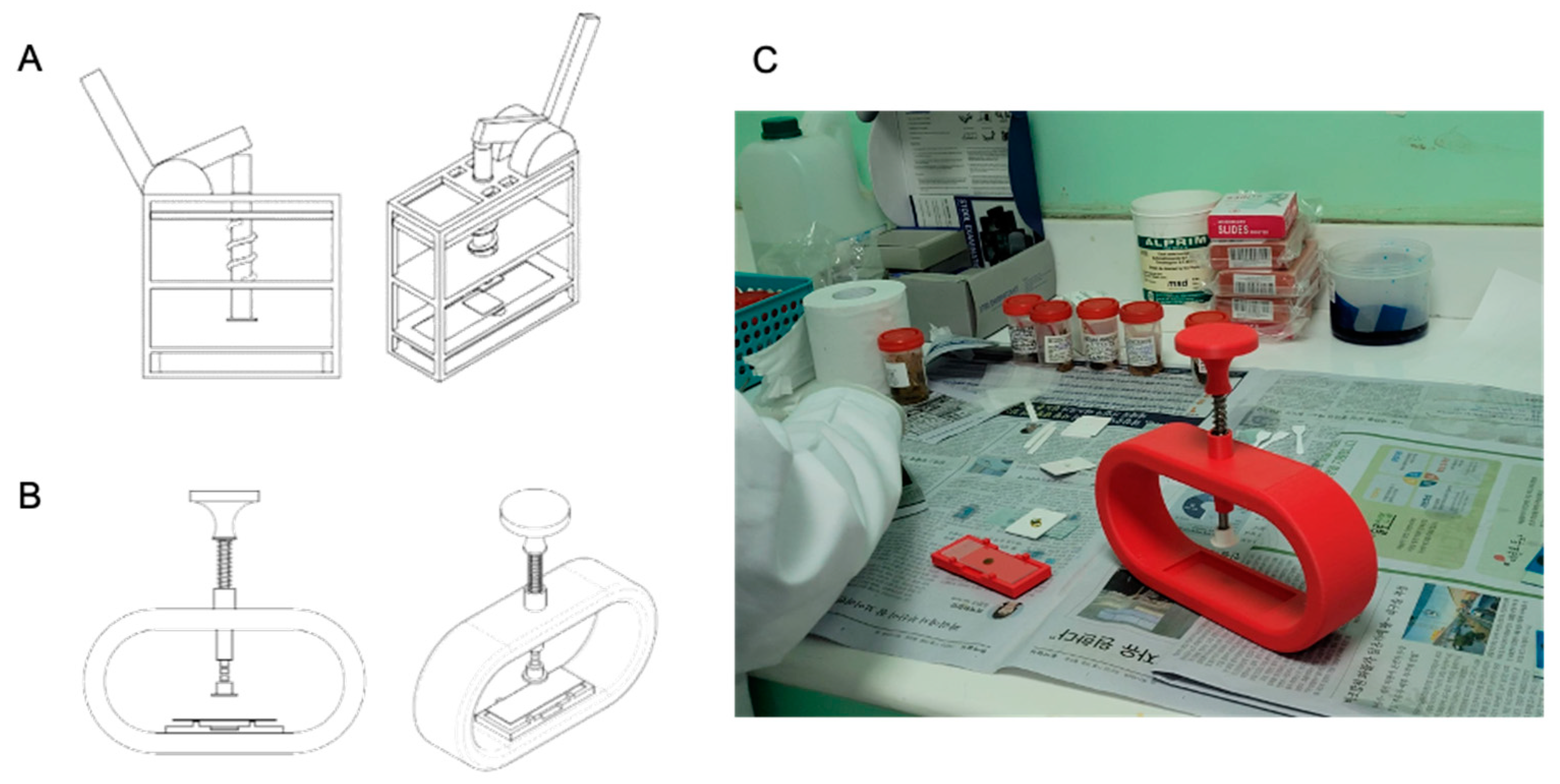 Bioengineering 12 00432 g002