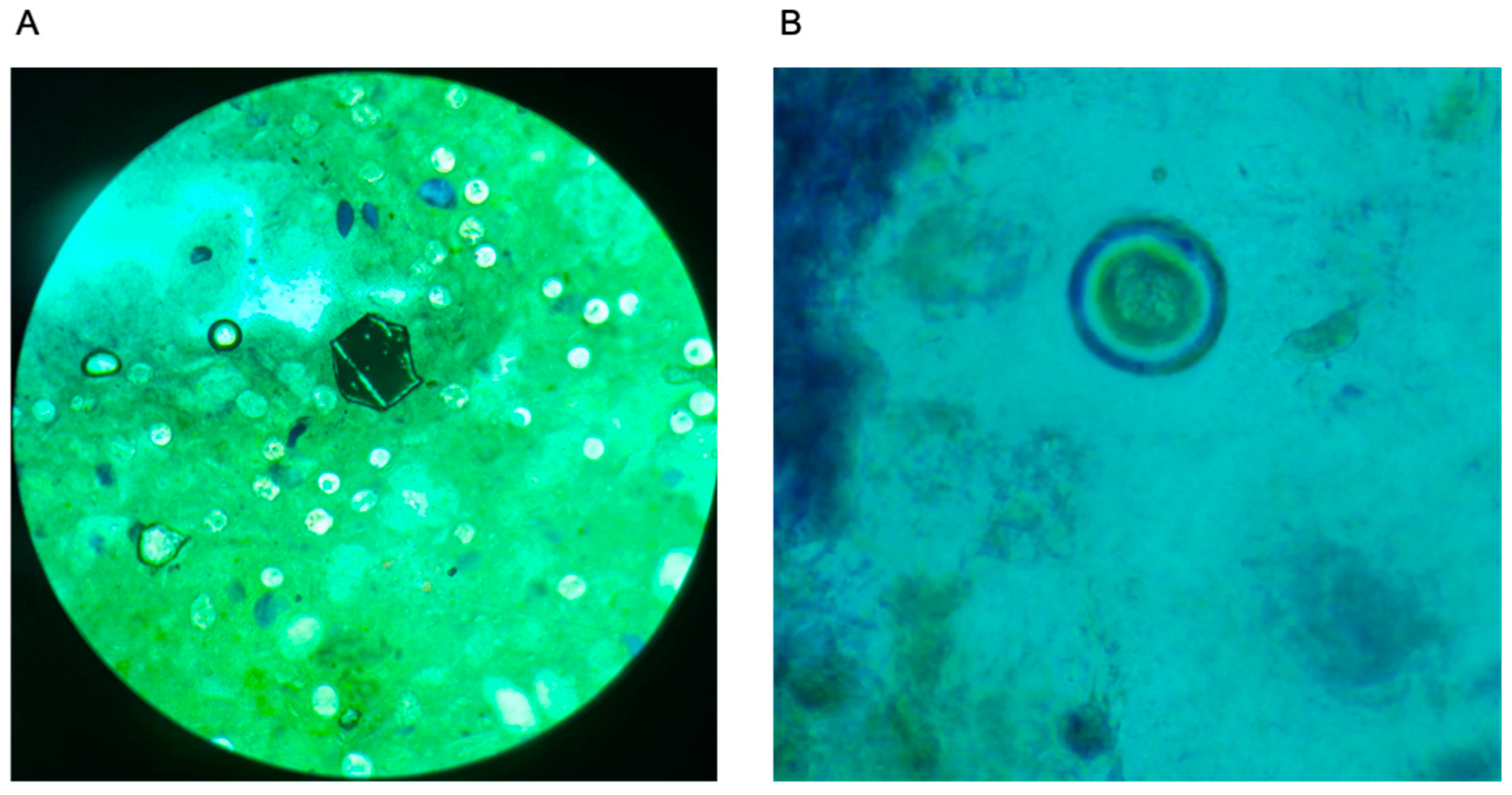 Bioengineering 12 00432 g004