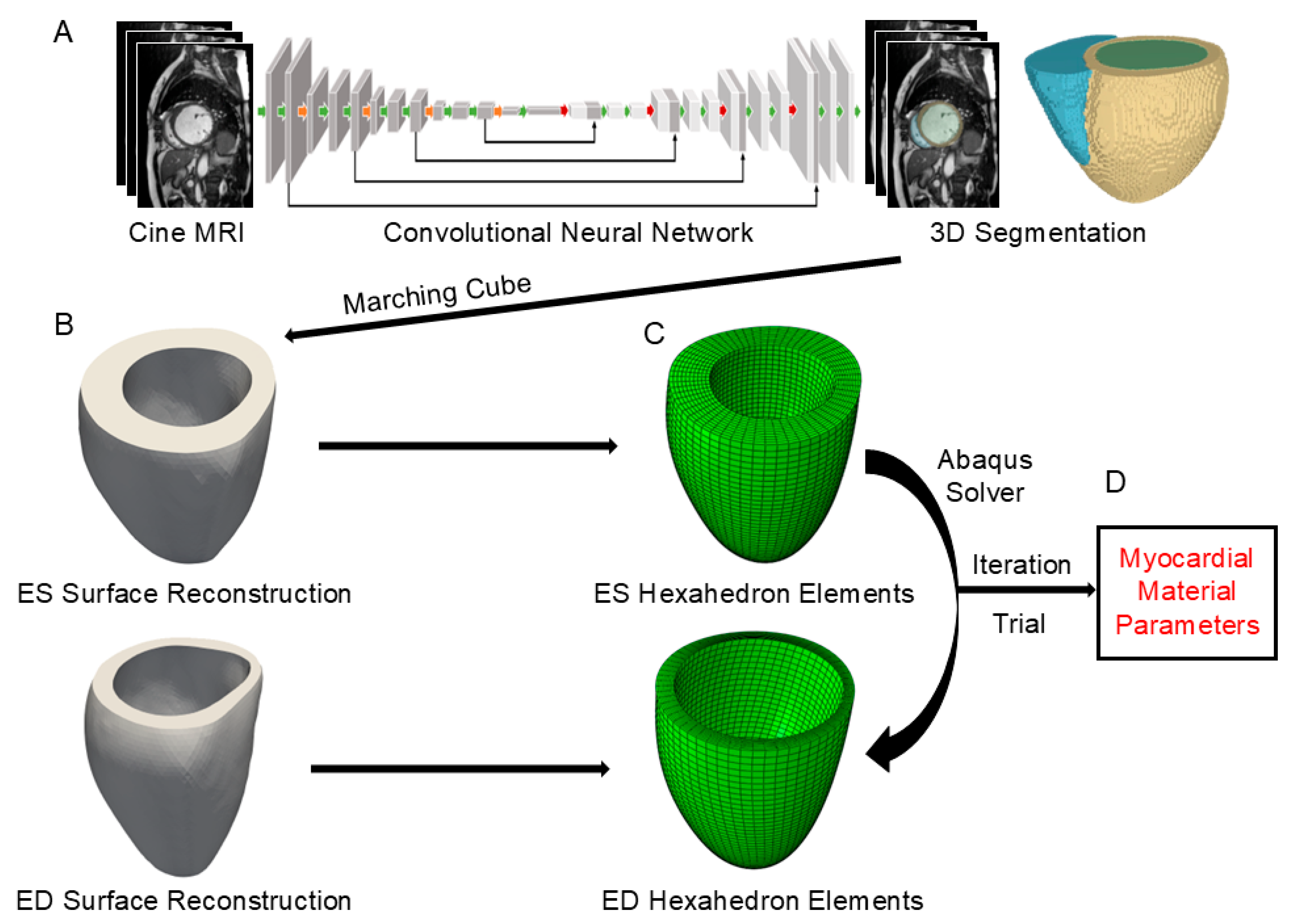 Bioengineering 12 00433 g001